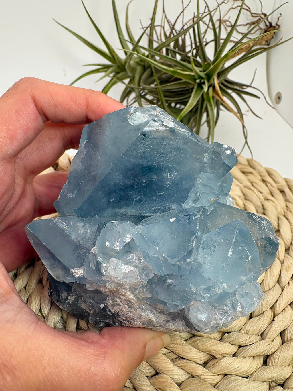 Celestina natural de Madagascar en drusa, de color azul celeste y cristales brillantes. Pieza única de 535 g para colección y decoración.