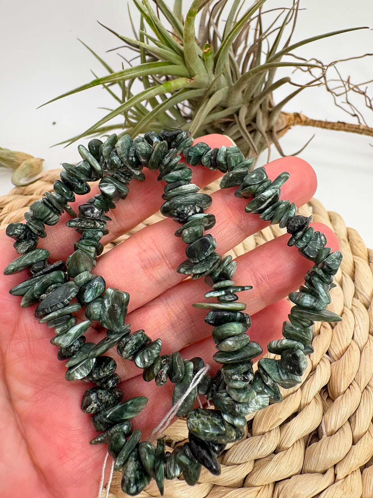 Pulsera de serafinita natural con chips pulidos