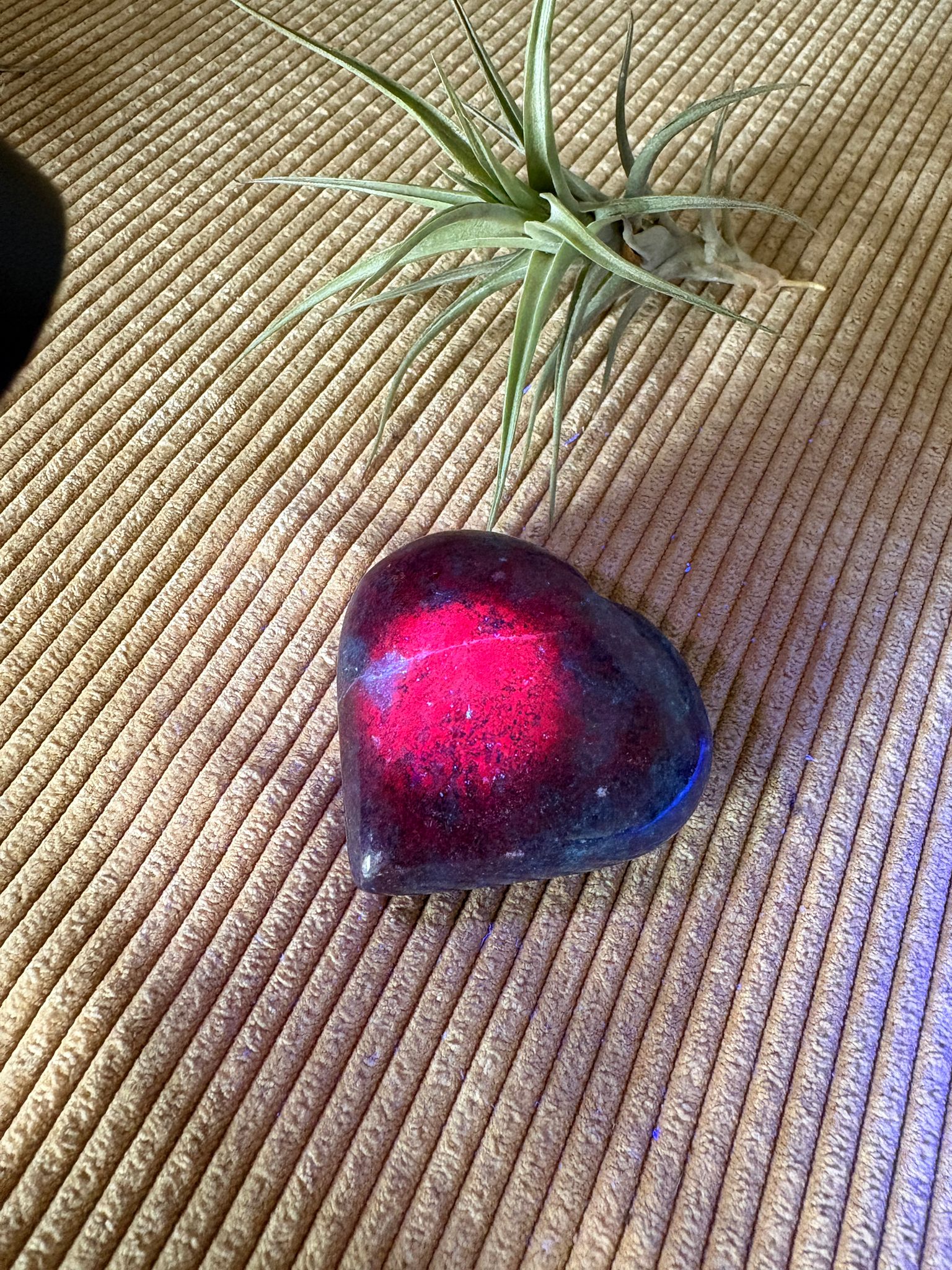 Corazón de cianita azul con rubí semipulido. El rubí presenta una intensa fluorescencia roja bajo la luz ultravioleta. Pieza única.