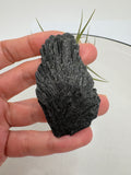 La cianita negra, conocida como «escoba de bruja», destaca por su forma de abanico y sus láminas alargadas, que recuerdan a una pequeña escoba. Su color negro y sus reflejos grisáceos dan a cada pieza un aspecto muy especial, conservando toda la belleza del mineral en bruto.