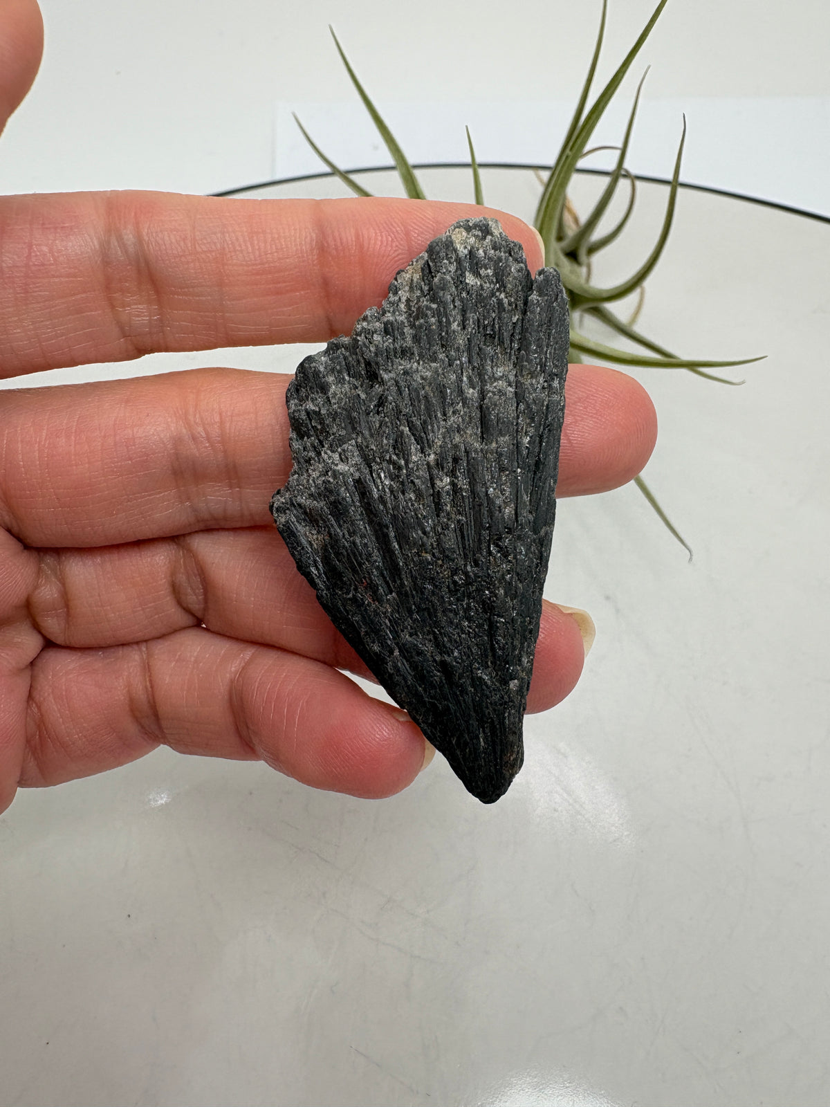 La cianita negra, conocida como «escoba de bruja», destaca por su forma de abanico y sus láminas alargadas, que recuerdan a una pequeña escoba. Su color negro y sus reflejos grisáceos dan a cada pieza un aspecto muy especial, conservando toda la belleza del mineral en bruto.