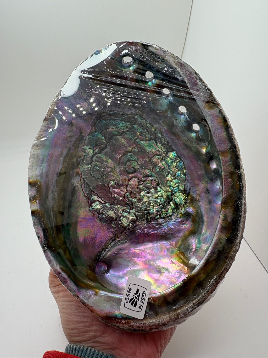 Concha de abalon natural de México con reflejos iridiscentes en tonos verdes, violetas y nacarados utilizada para rituales de limpieza energética