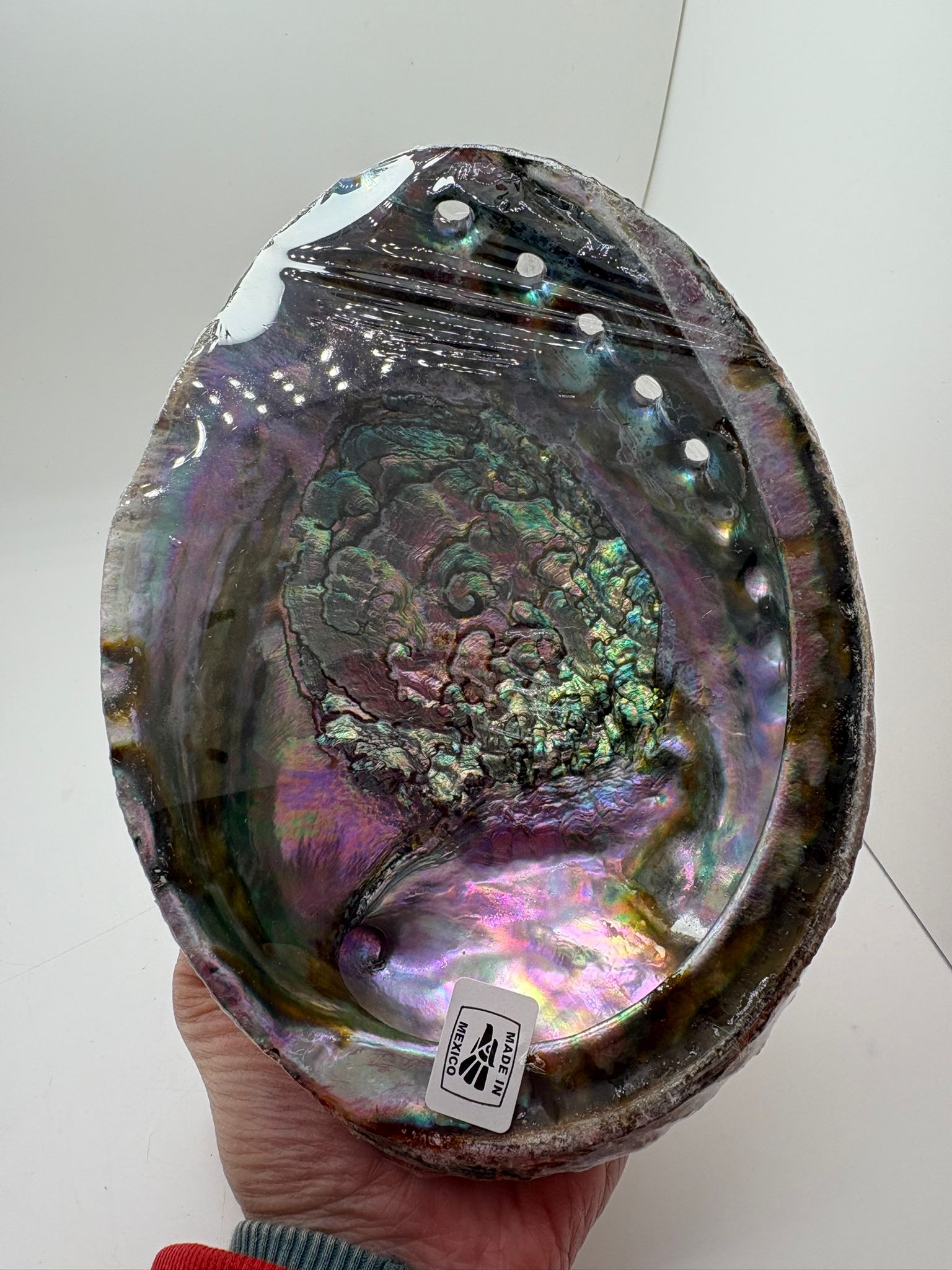 Concha de abalon natural de México con reflejos iridiscentes en tonos verdes, violetas y nacarados utilizada para rituales de limpieza energética