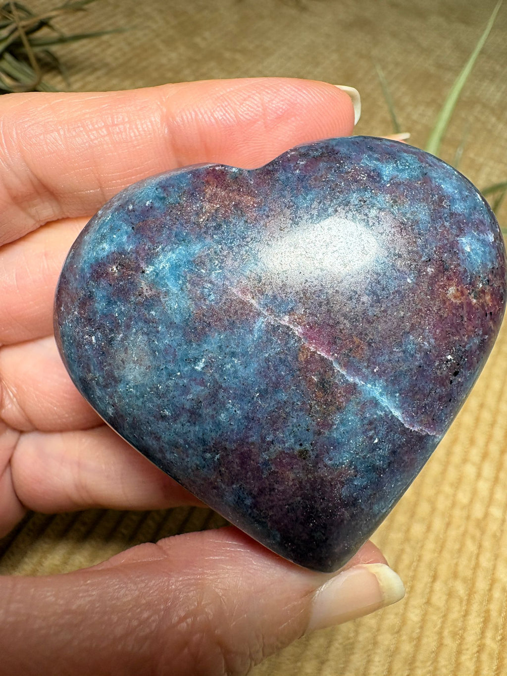 Corazón de cianita azul con rubí semipulido. El rubí presenta una intensa fluorescencia roja bajo la luz ultravioleta. Pieza única.