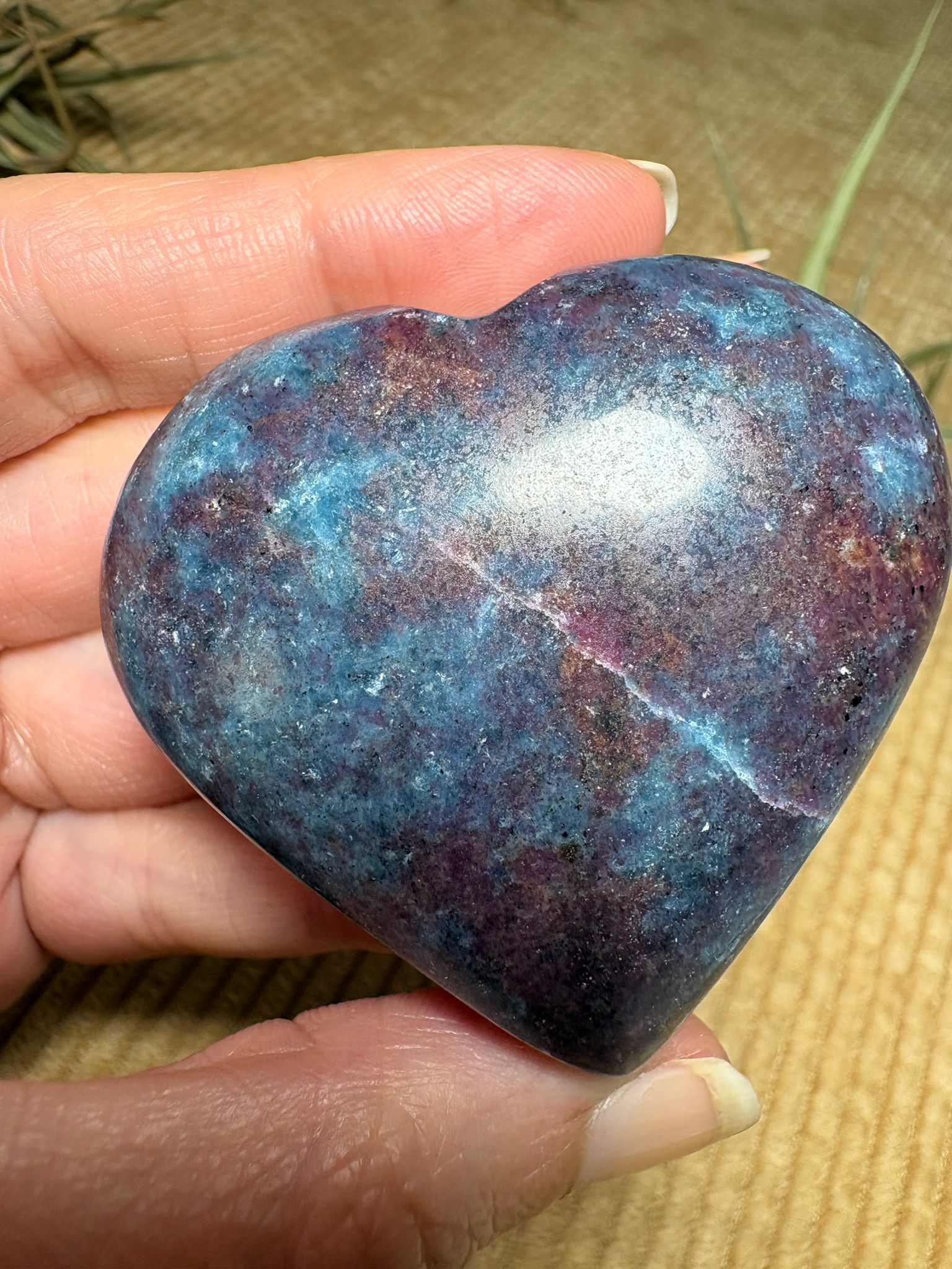 Corazón de cianita azul con rubí semipulido. El rubí presenta una intensa fluorescencia roja bajo la luz ultravioleta. Pieza única.
