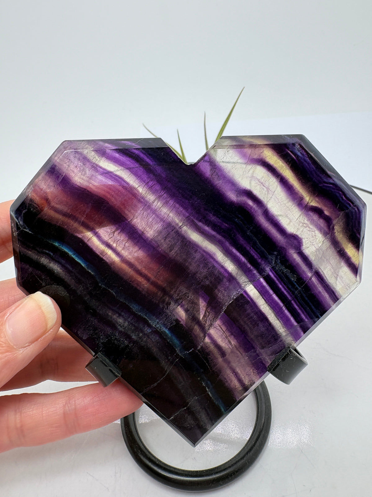 Un corazón de fluorita arcoíris con bonitas bandas violetas, zonas translúcidas y un ligero toque azul que se aprecia entre sus vetas. Sus tonos se realzan al pasar la luz a través de la pieza, dejando ver los dibujos de su interior.