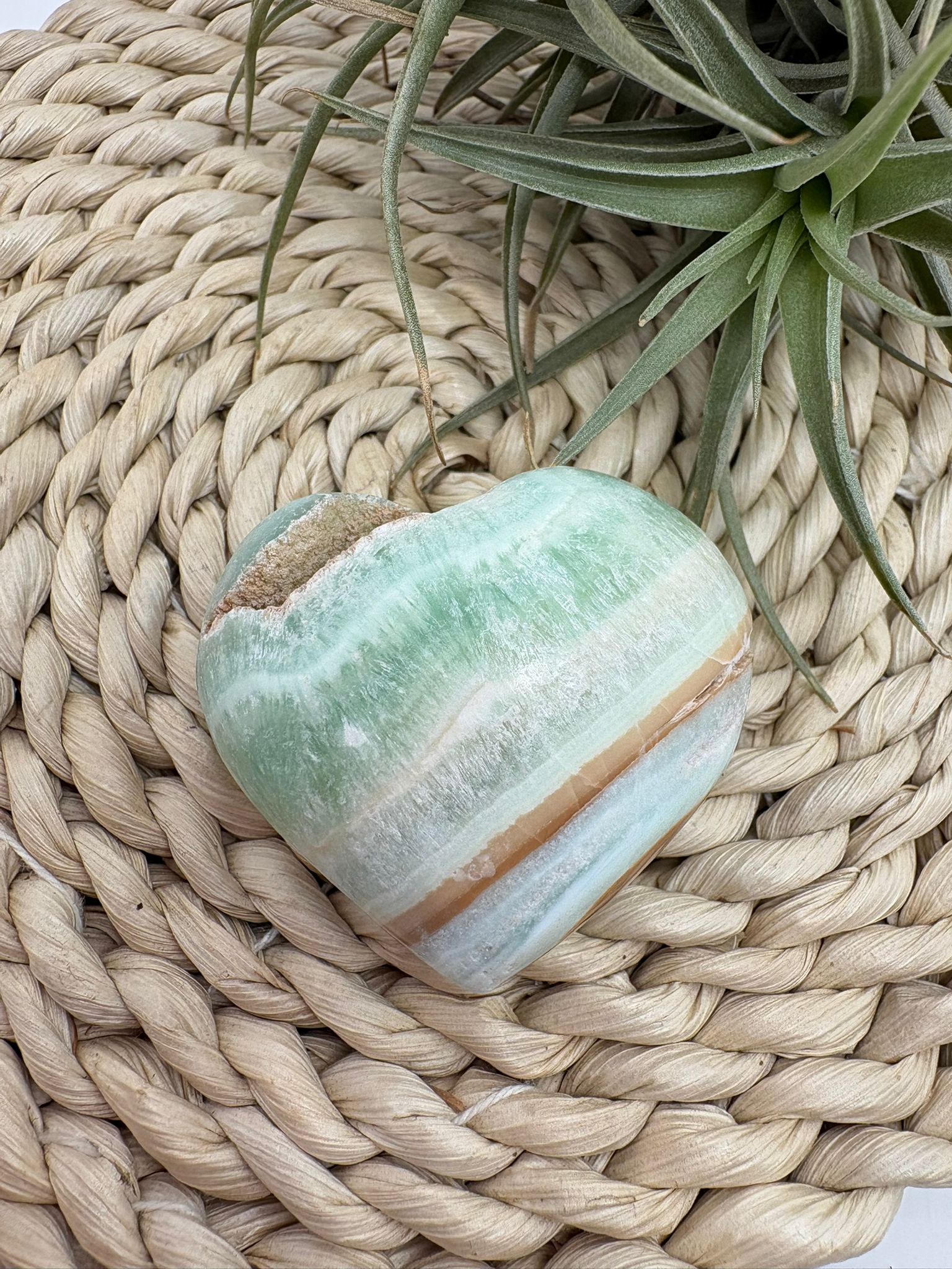 corazón de calcita pistacho destaca por sus suaves tonos verdes con vetas naturales en crema y miel, que le aportan un aspecto delicado y armonioso. Es una piedra muy apreciada por su energía calmante y equilibrante.

La calcita pistacho es ideal para acompañar procesos de sanación emocional, ayudando a liberar tensiones, suavizar emociones intensas y aportar paz interior.