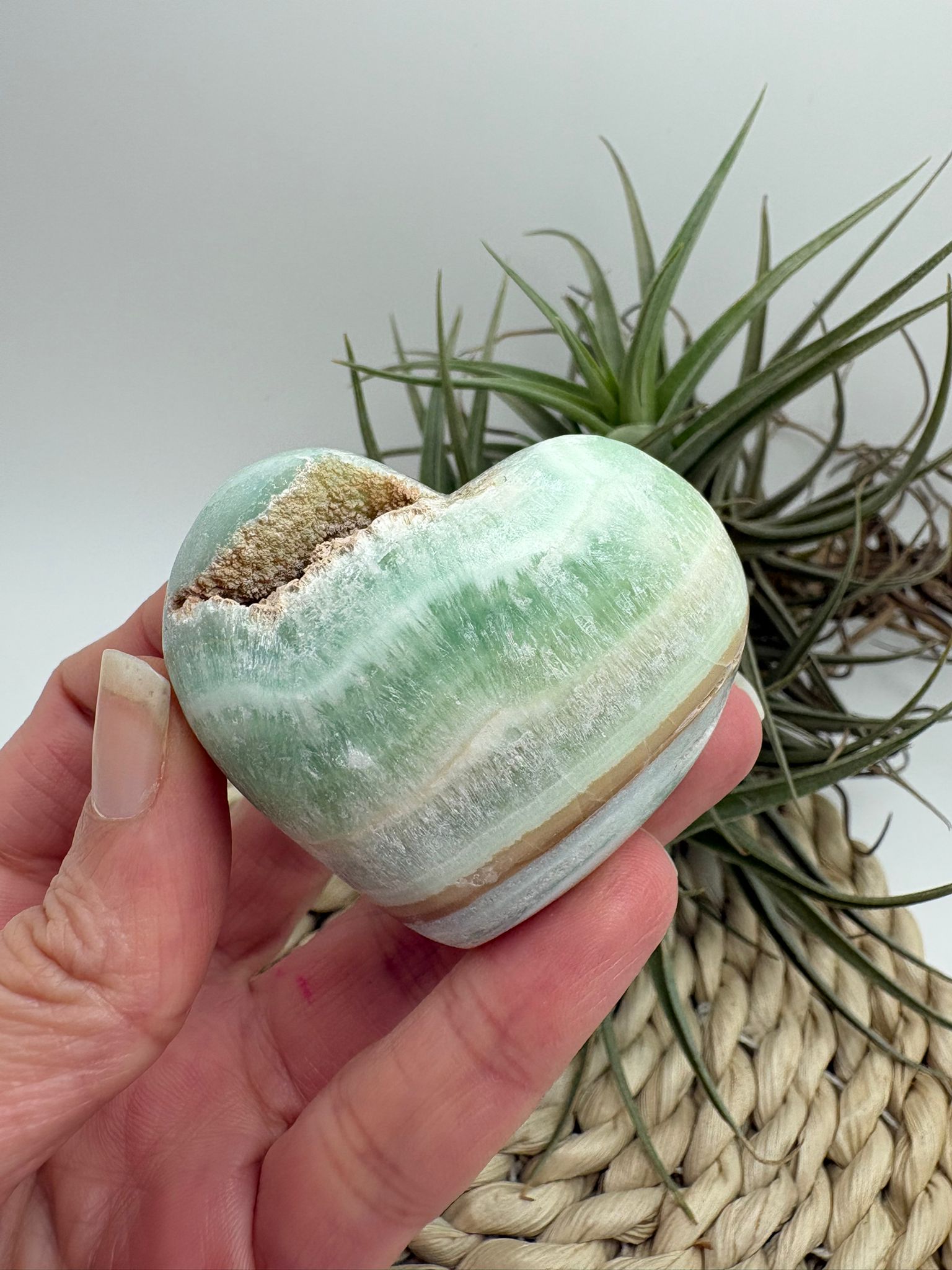 corazón de calcita pistacho destaca por sus suaves tonos verdes con vetas naturales en crema y miel, que le aportan un aspecto delicado y armonioso. Es una piedra muy apreciada por su energía calmante y equilibrante.

La calcita pistacho es ideal para acompañar procesos de sanación emocional, ayudando a liberar tensiones, suavizar emociones intensas y aportar paz interior.