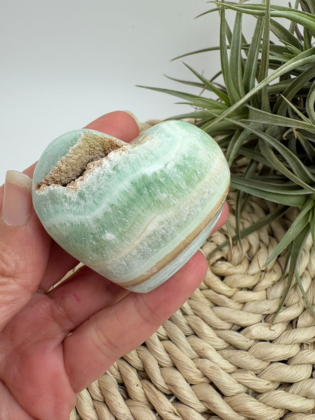 corazón de calcita pistacho destaca por sus suaves tonos verdes con vetas naturales en crema y miel, que le aportan un aspecto delicado y armonioso. Es una piedra muy apreciada por su energía calmante y equilibrante.

La calcita pistacho es ideal para acompañar procesos de sanación emocional, ayudando a liberar tensiones, suavizar emociones intensas y aportar paz interior.
