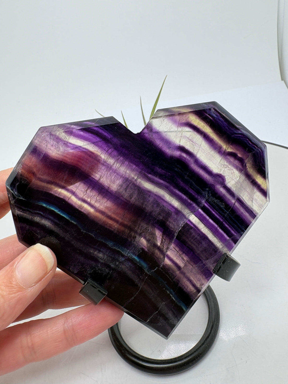 Un corazón de fluorita arcoíris con bonitas bandas violetas, zonas translúcidas y un ligero toque azul que se aprecia entre sus vetas. Sus tonos se realzan al pasar la luz a través de la pieza, dejando ver los dibujos de su interior.