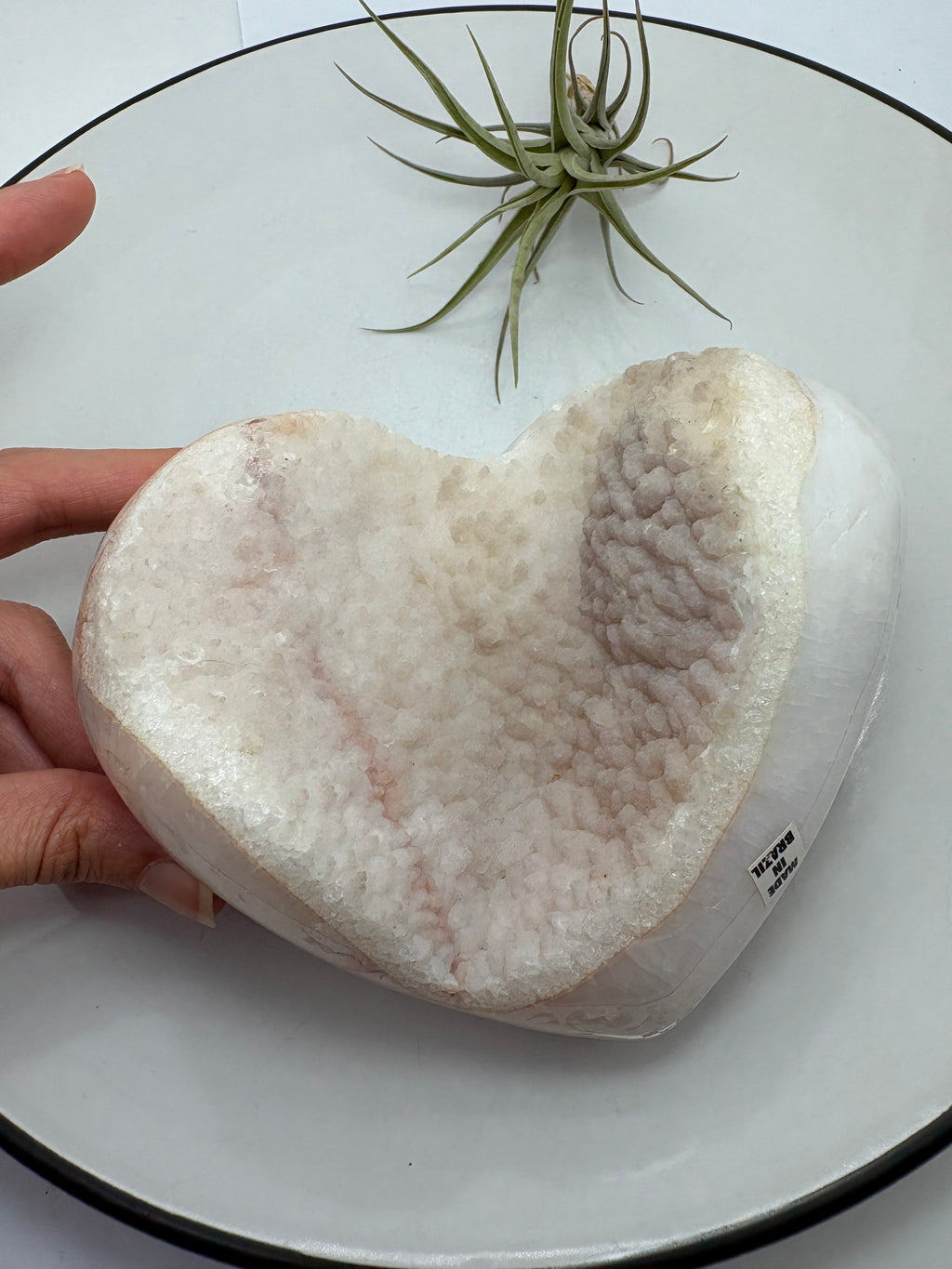 Corazón grande de ágata con una bonita geoda de calcita con micro cristalitos de cuarzo que hace que brillen, en tonos blancos y crema y rosado clarito.

Su cavidad deja a la vista los cristales, con pequeños brillos que se aprecian al moverlo bajo la luz.

Los bordes y la parte trasera están pulidos, mostrando zonas translúcidas y dibujos en tonos tierra. El contraste con la textura de la geoda hace que sea una pieza bonita por ambas caras, ideal para decorar un rincón especial o ampliar tu colección.