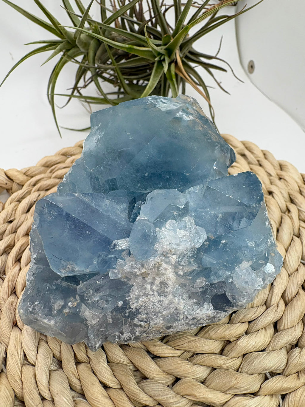 Celestina natural de Madagascar en drusa, de color azul celeste y cristales brillantes. Pieza única de 535 g para colección y decoración.