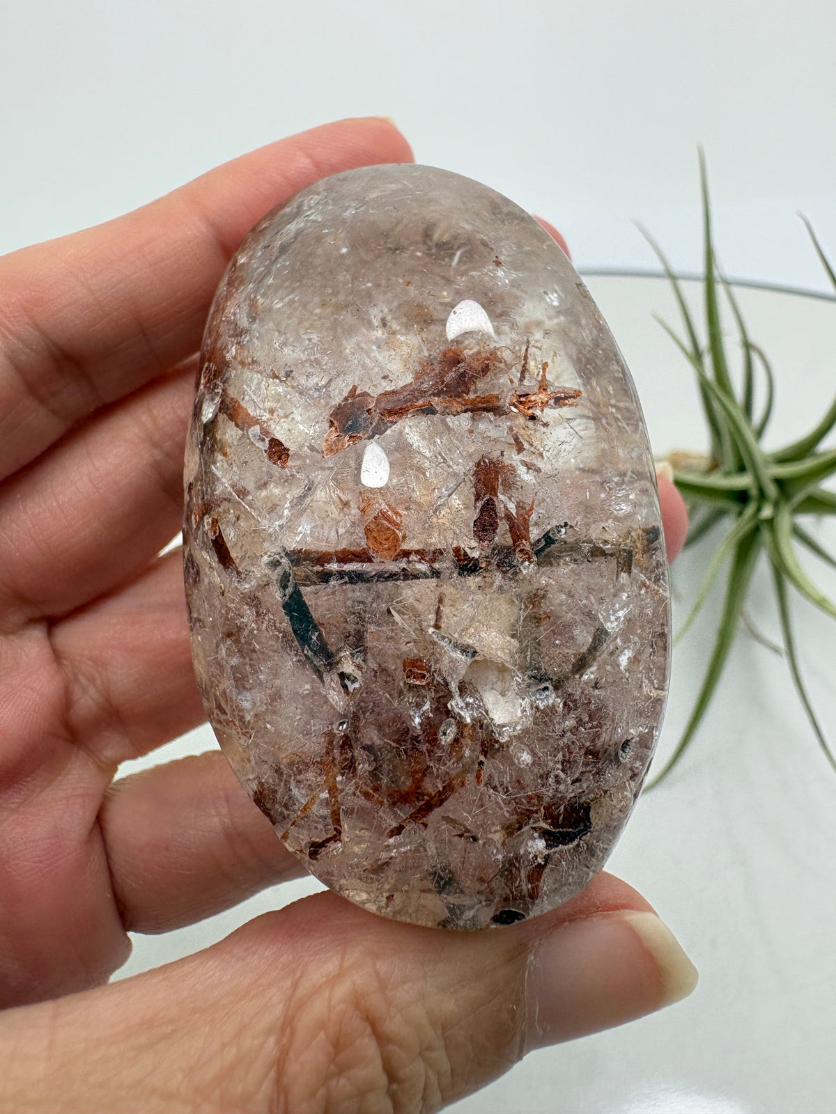 Un pequeño paisaje mineral en la palma de tu mano. Este palmstone de cuarzo con anfíbol destaca por sus inclusiones en tonos verdes oscuros, marrones y rojizos, que crean formas y contrastes únicos en su interior.

La transparencia del cuarzo permite descubrir distintos detalles al observarlo desde diferentes ángulos. Su acabado semipulido combina zonas suaves y brillantes con una textura más natural.