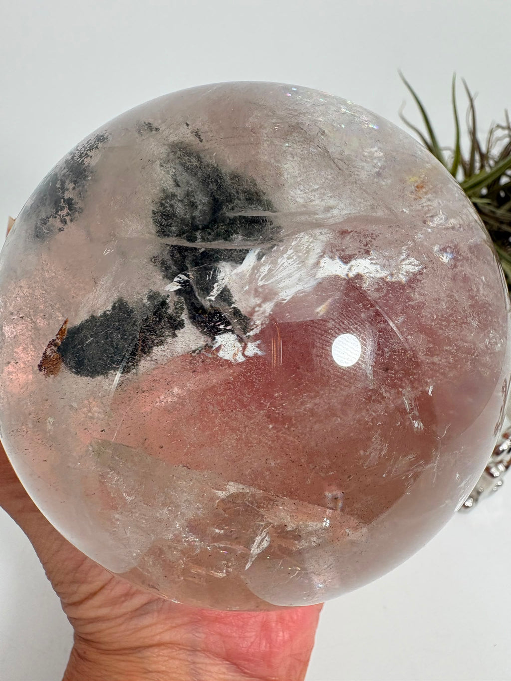 Esfera grande de cuarzo chamánico con espectaculares arcoíris interiores. Una pieza única de gran belleza, ideal para decoración y espacios especiales.

Texto alternativo de la imagen:

Esfera grande de cuarzo chamánico transparente con inclusiones y arcoíris interiores.