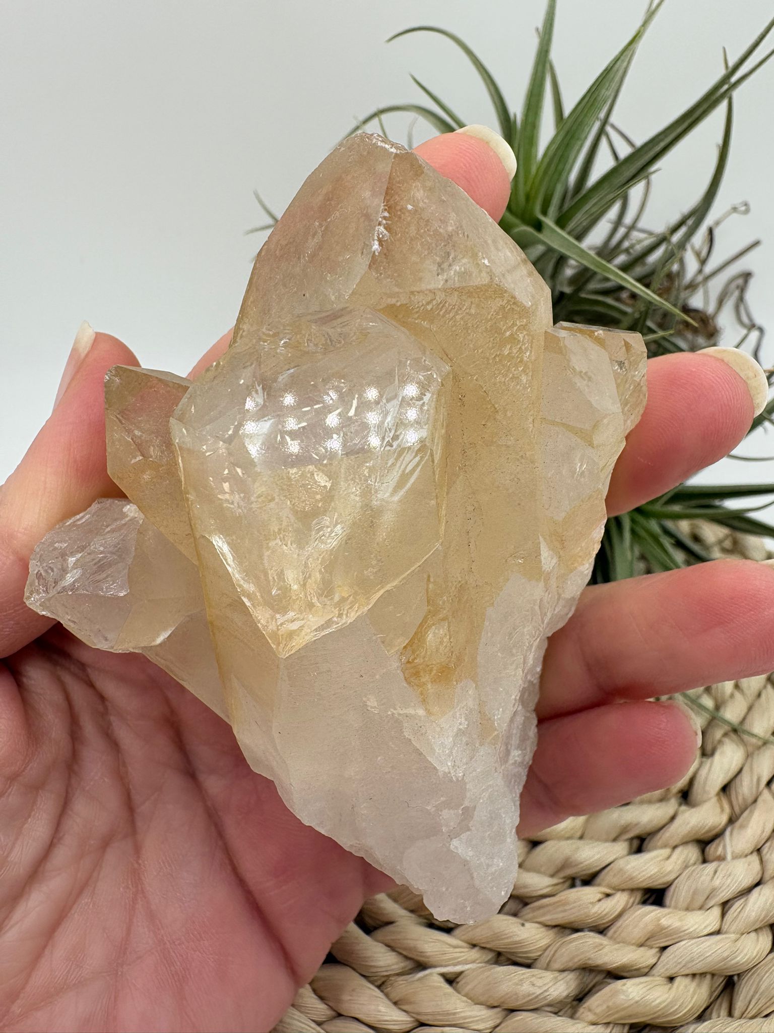 Cuarzo natural en bruto, pieza única con energía pura. Ideal para meditación, decoración y equilibrio energético. Descubre su belleza natural.