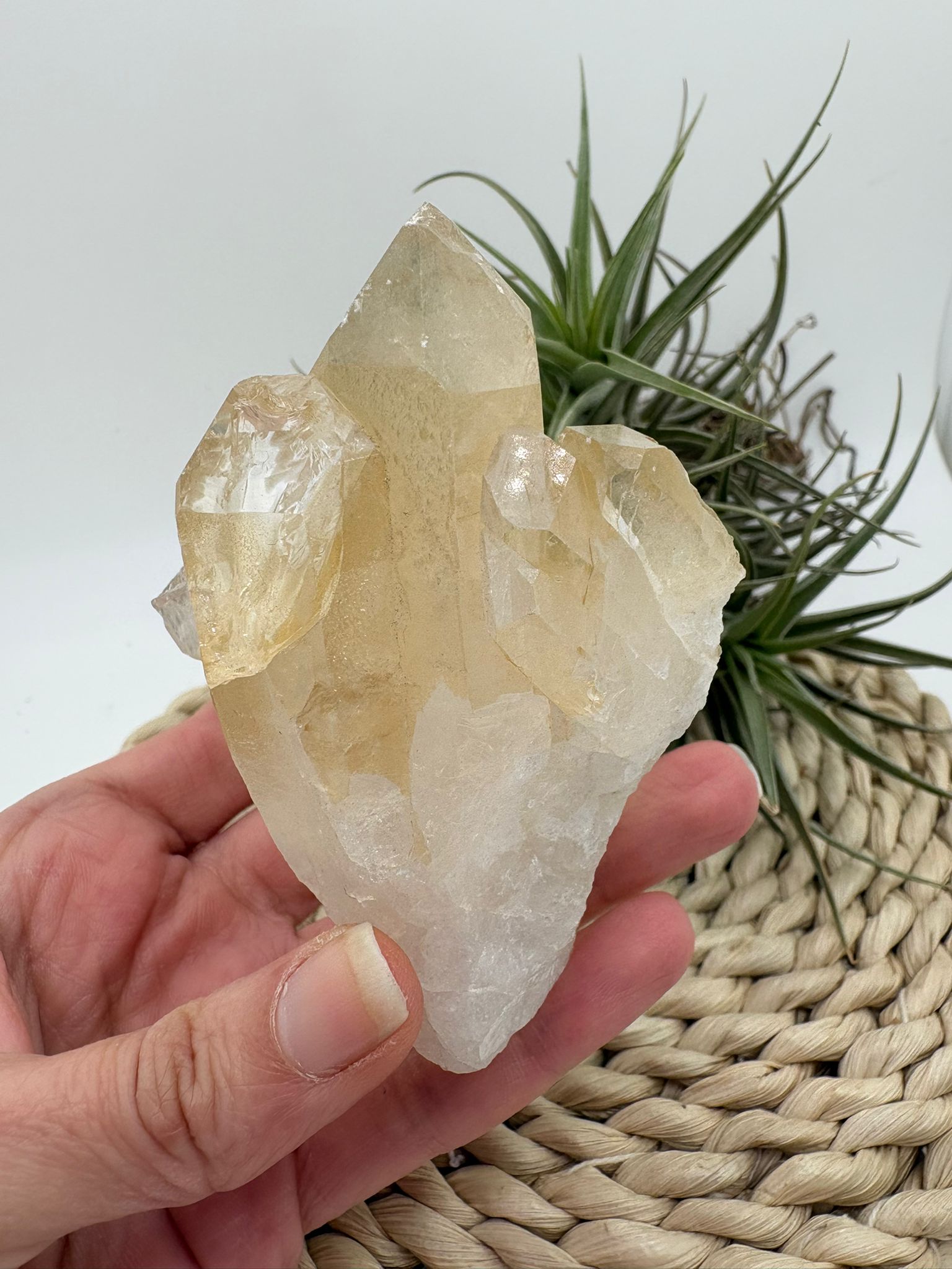 Cuarzo natural en bruto, pieza única con energía pura. Ideal para meditación, decoración y equilibrio energético. Descubre su belleza natural.