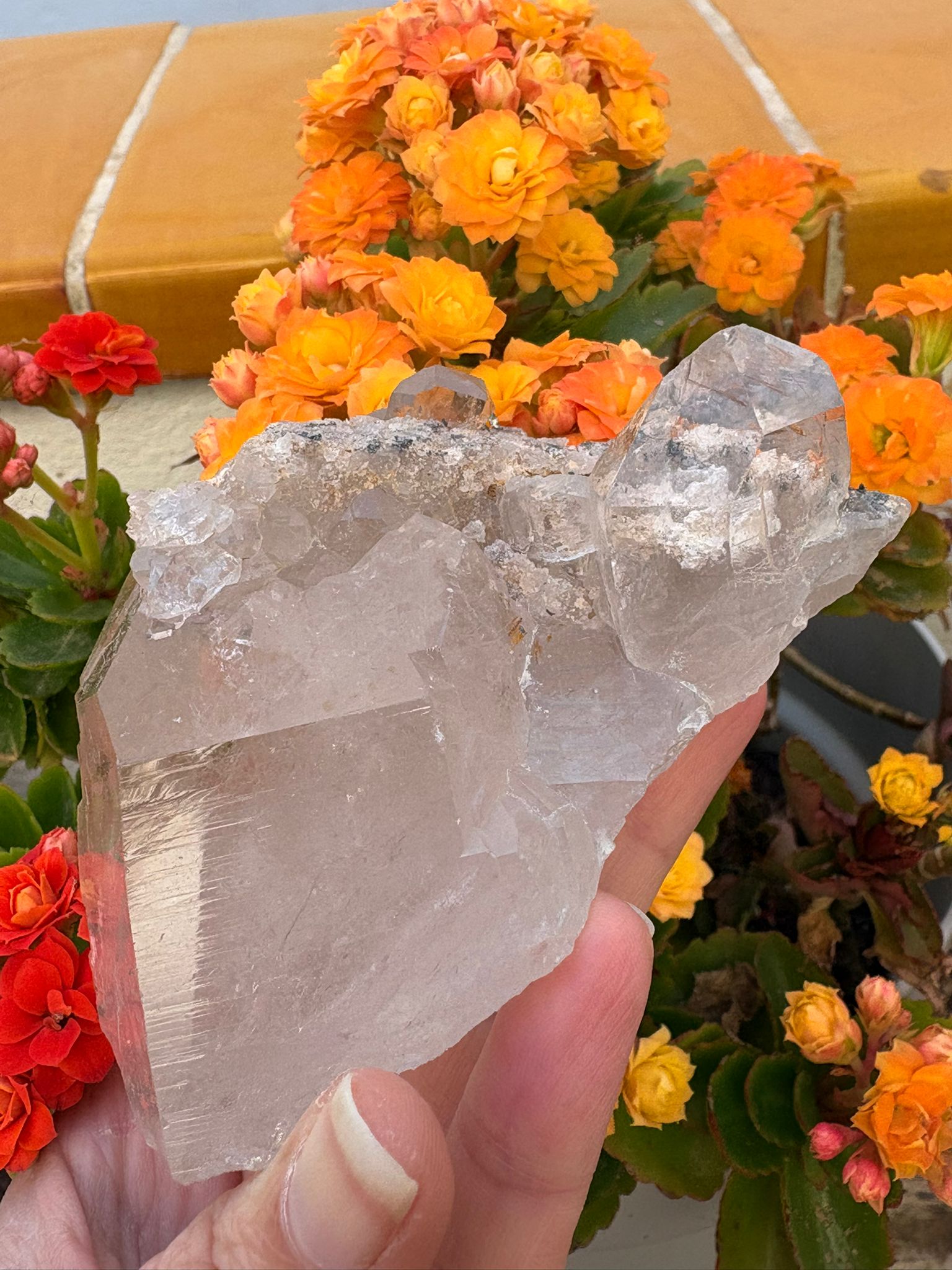 Cuarzo chamánico con inclusiones tipo jardín en su interior. Pieza única con energía profunda, ideal para conexión espiritual y meditación.