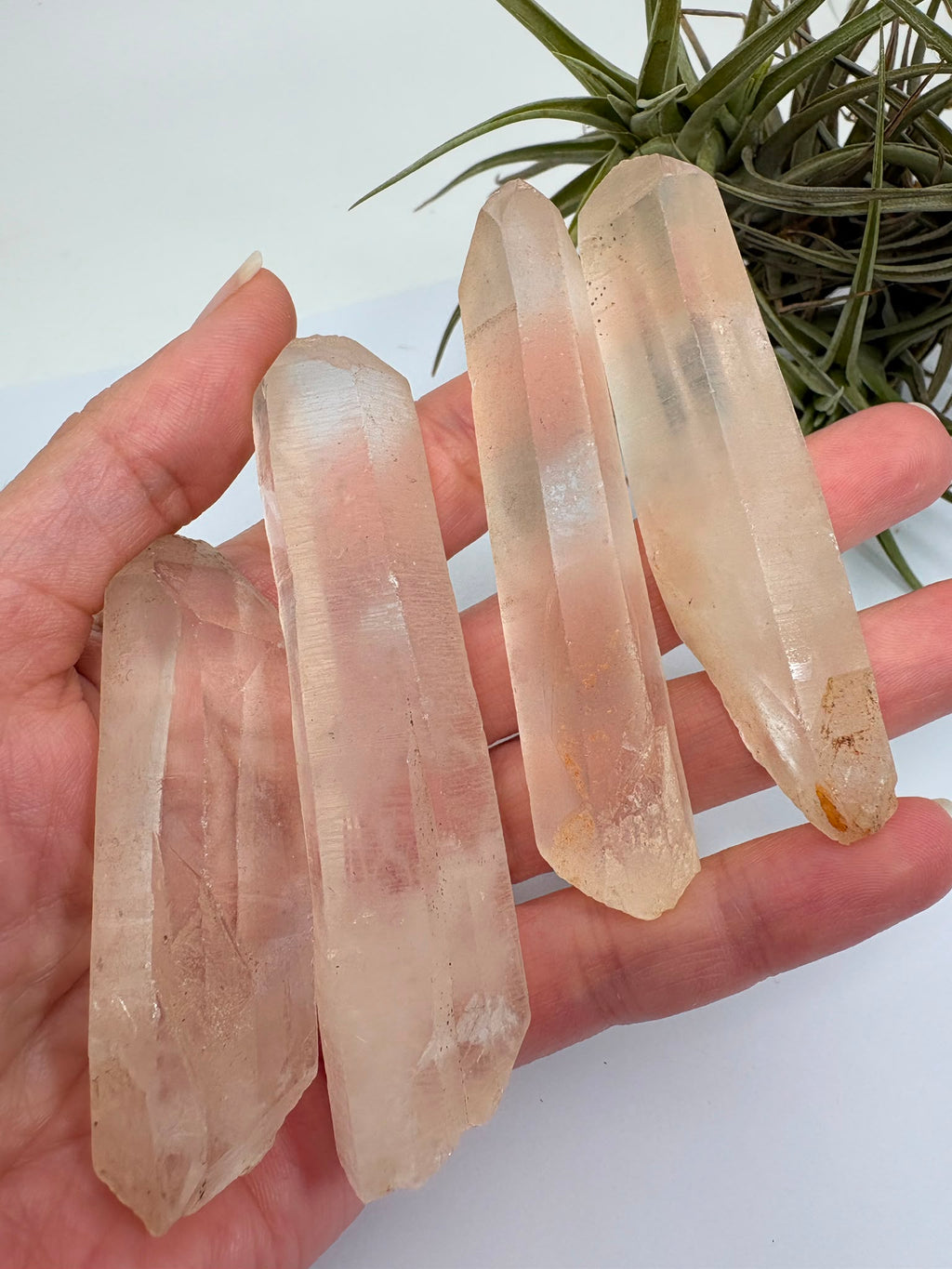 Cuarzo lemuriano natural de aproximadamente 7 × 2 cm. Cristales con estrías naturales, ideales para colección, meditación y crecimiento espiritual. Se enviará una pieza aleatoria