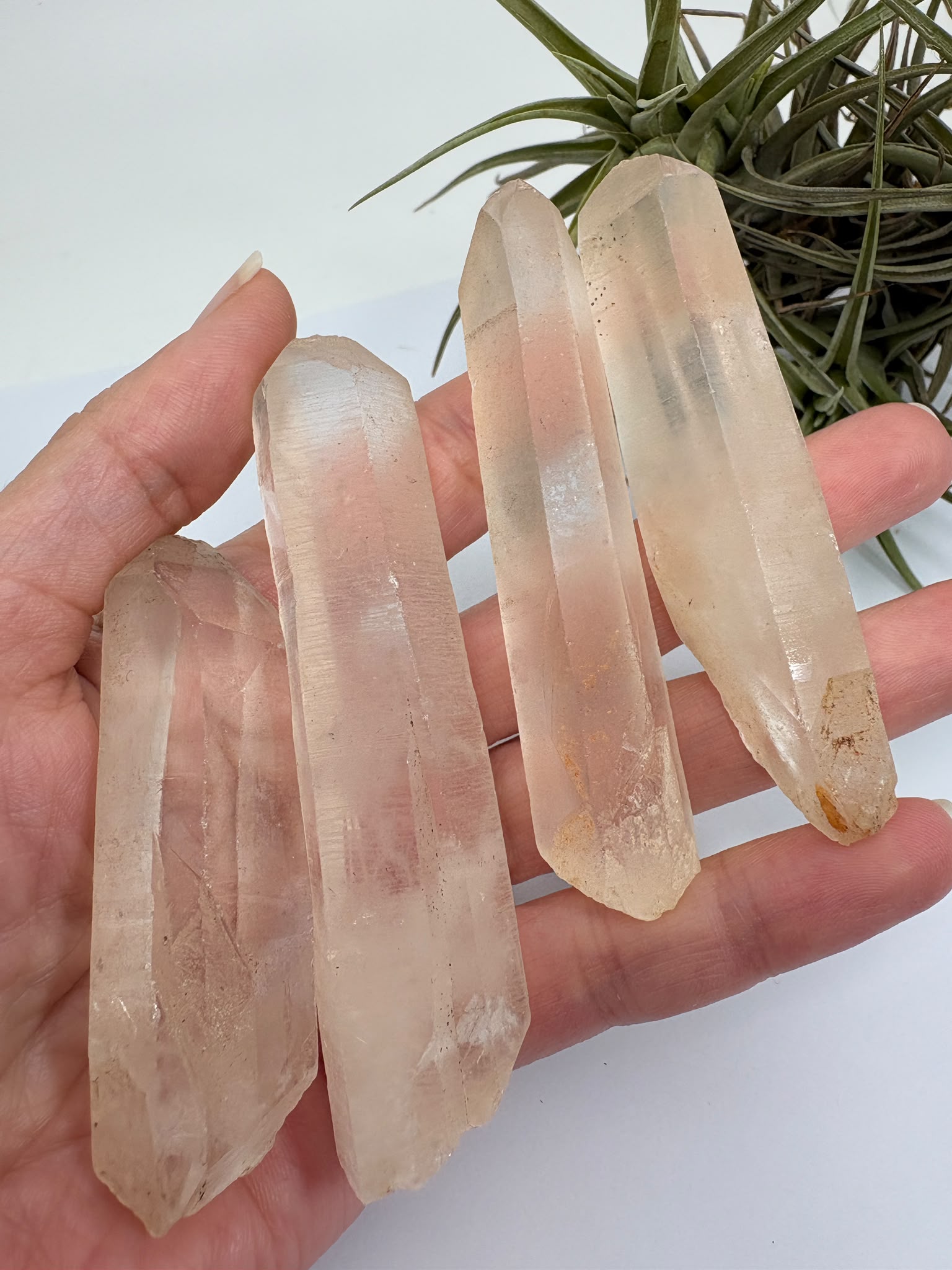 Cuarzo lemuriano natural de aproximadamente 7 × 2 cm. Cristales con estrías naturales, ideales para colección, meditación y crecimiento espiritual. Se enviará una pieza aleatoria
