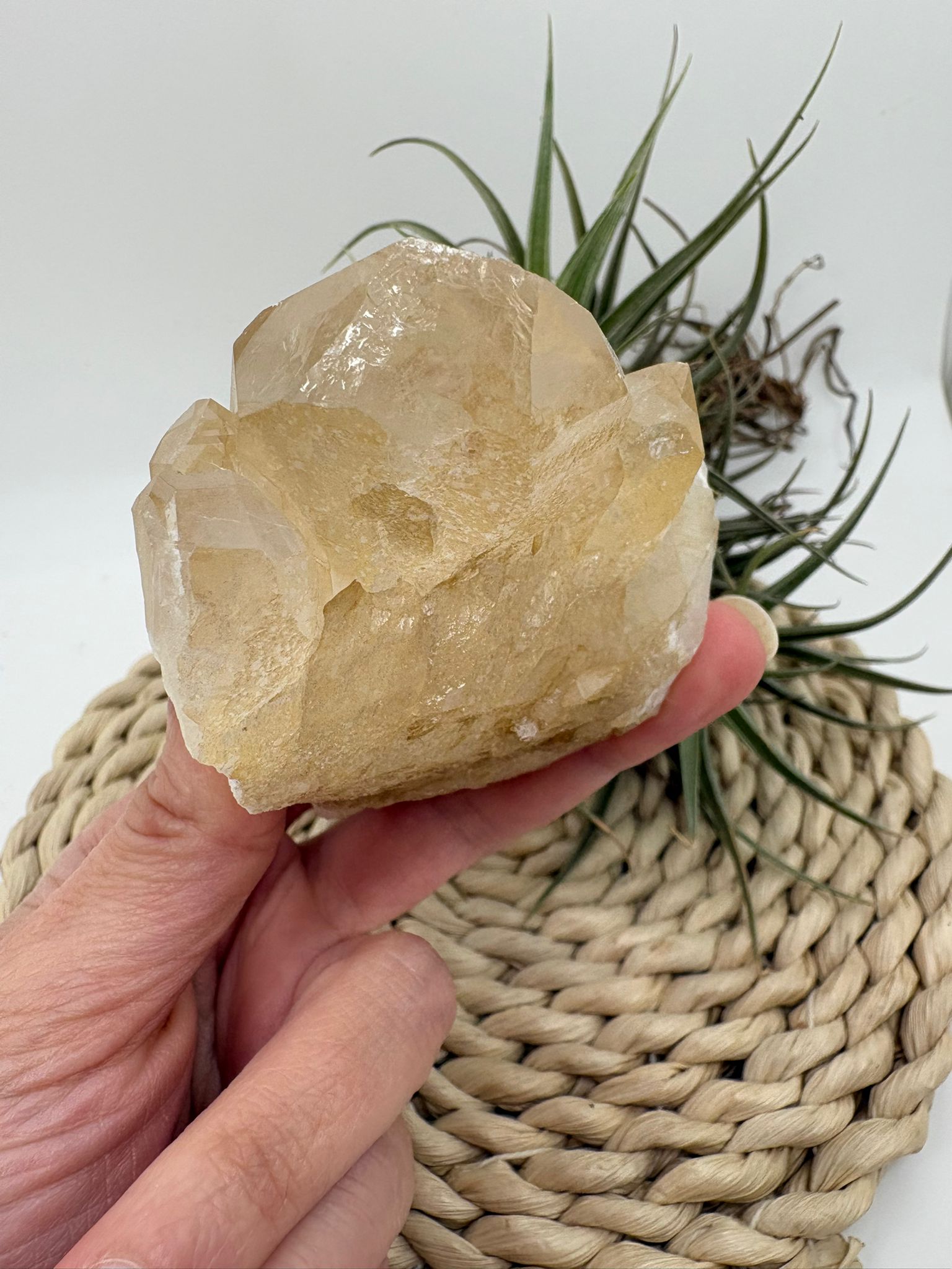 Cuarzo natural en bruto, pieza única con energía pura. Ideal para meditación, decoración y equilibrio energético. Descubre su belleza natural.