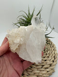 Cuarzo natural en bruto, pieza única con energía pura. Ideal para meditación, decoración y equilibrio energético. Descubre su belleza natural.