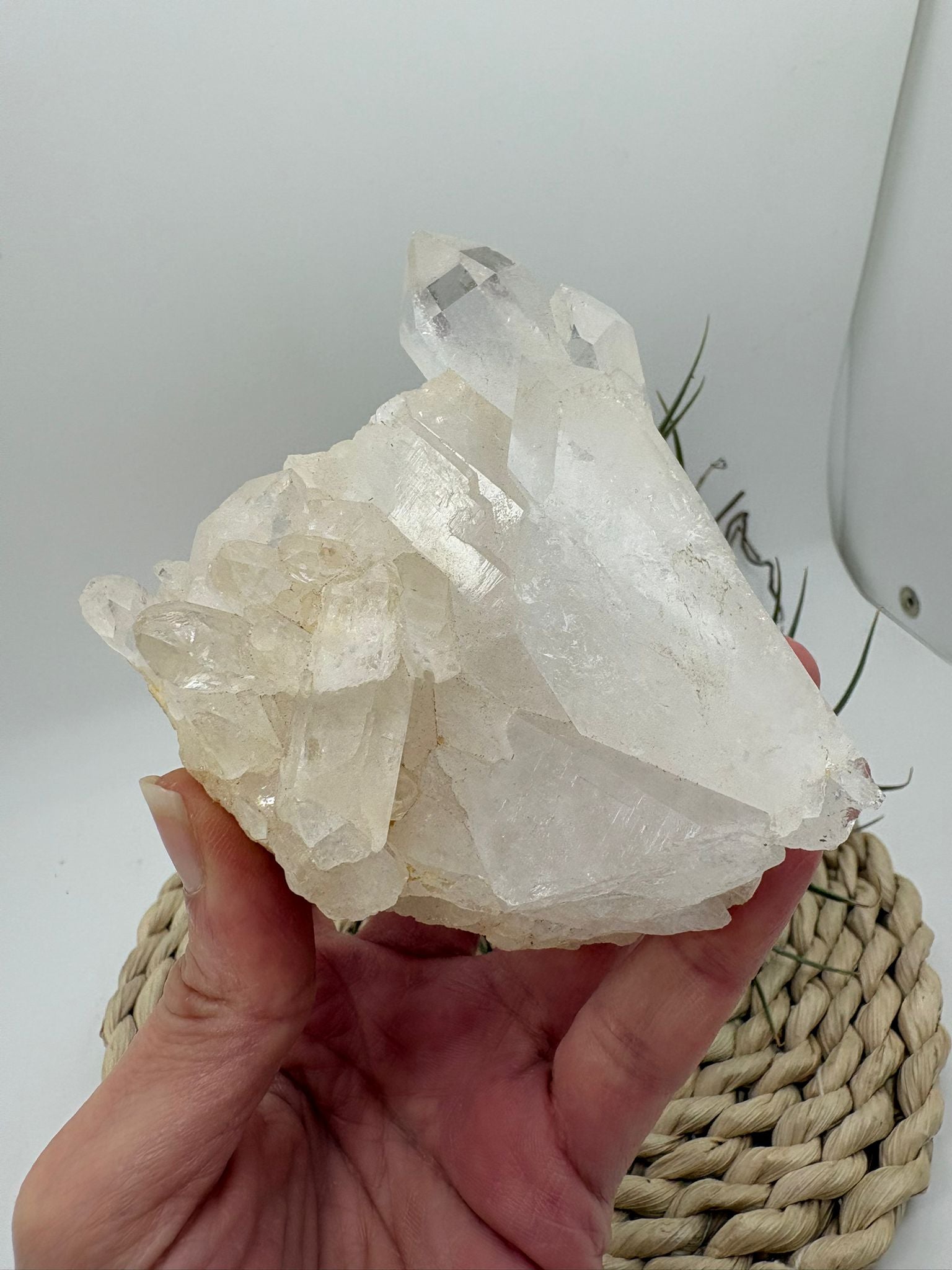 Cuarzo natural en bruto, pieza única con energía pura. Ideal para meditación, decoración y equilibrio energético. Descubre su belleza natural.