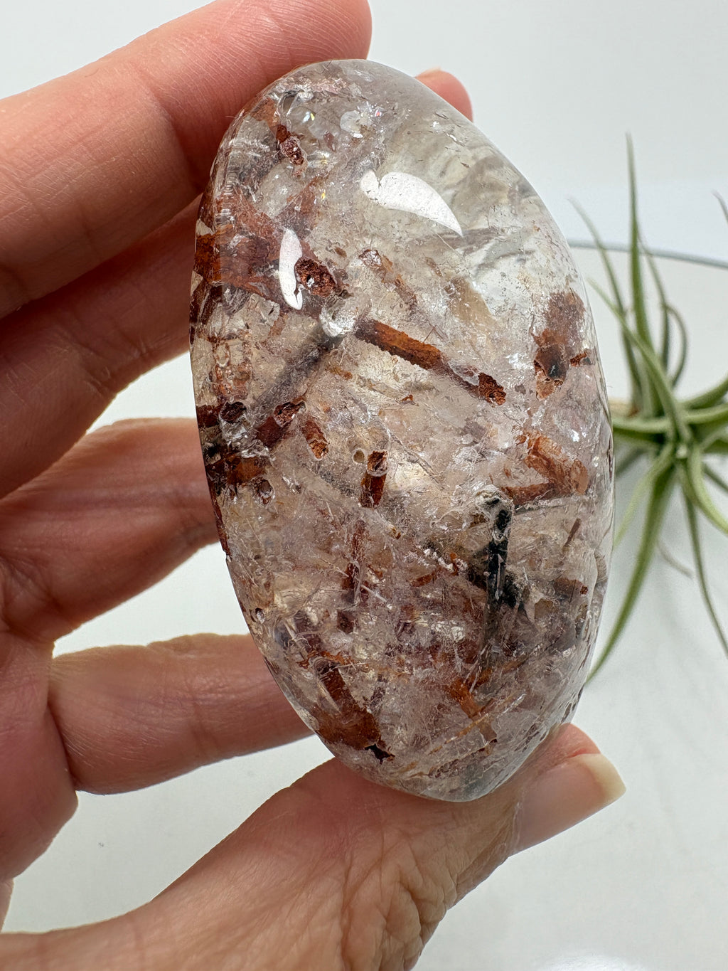 Un pequeño paisaje mineral en la palma de tu mano. Este palmstone de cuarzo con anfíbol destaca por sus inclusiones en tonos verdes oscuros, marrones y rojizos, que crean formas y contrastes únicos en su interior.

La transparencia del cuarzo permite descubrir distintos detalles al observarlo desde diferentes ángulos. Su acabado semipulido combina zonas suaves y brillantes con una textura más natural.
