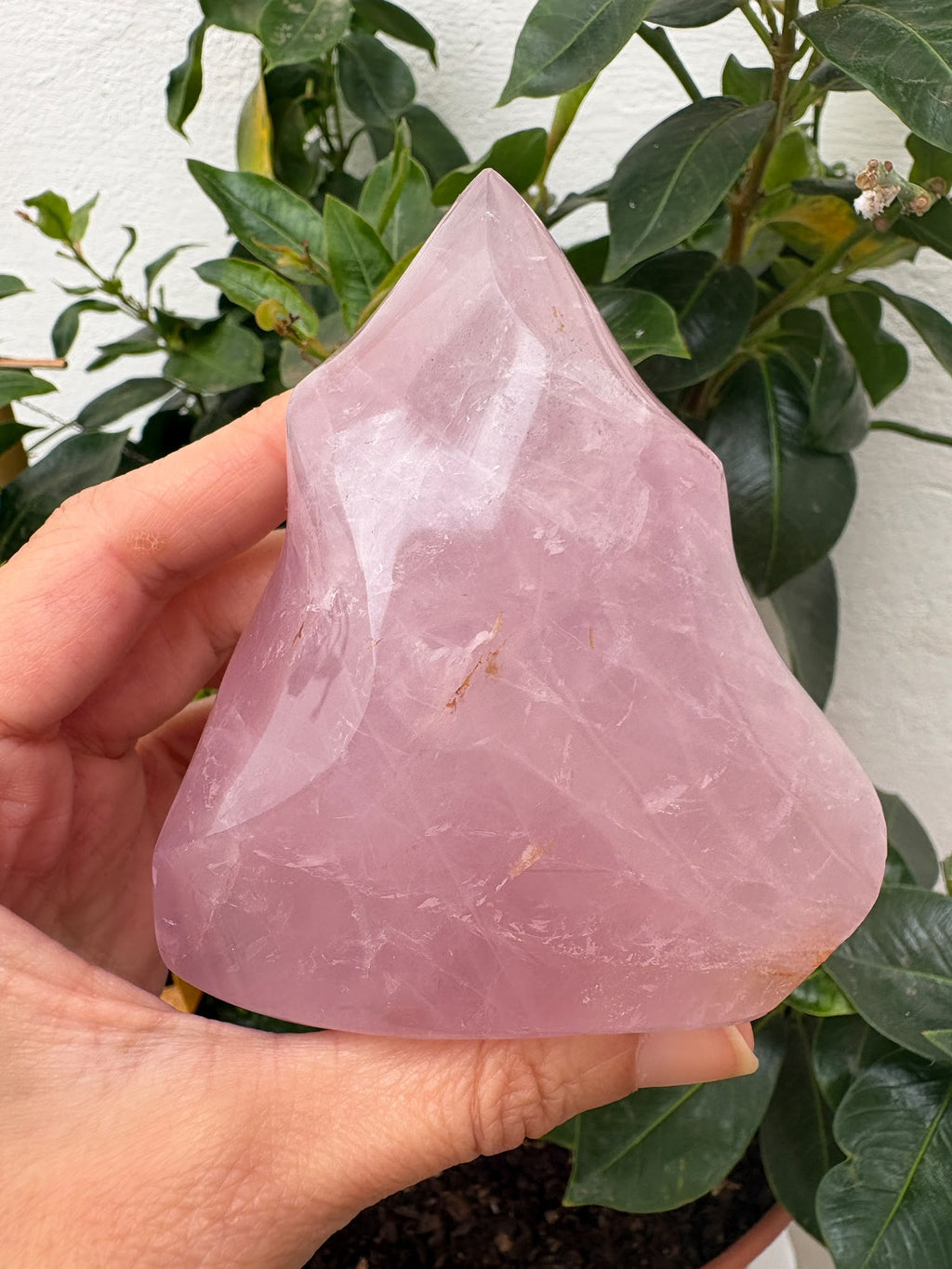 Descubre esta llama de cuarzo rosa natural de Brasil, de delicado tono rosado y acabado pulido. Una pieza especial para decorar o acompañar tu meditación.