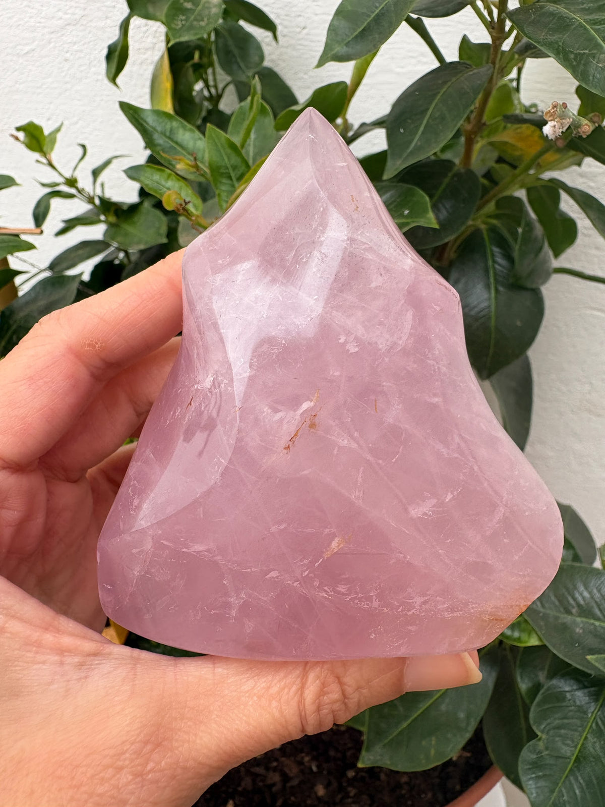 Descubre esta llama de cuarzo rosa natural de Brasil, de delicado tono rosado y acabado pulido. Una pieza especial para decorar o acompañar tu meditación.