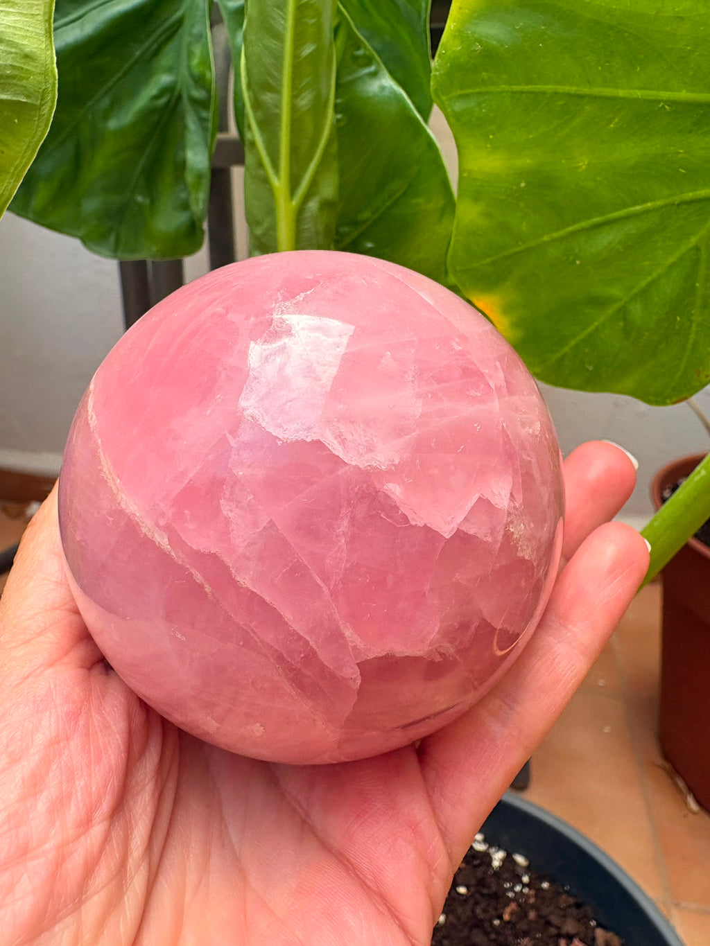 Esfera de cuarzo rosa natural de excelente calidad y precioso color, con 7 cm de diámetro. Una pieza única, ideal para decoración, meditación, coleccionismo o como regalo especial. Descúbrela en La Hada de las Piedras.
