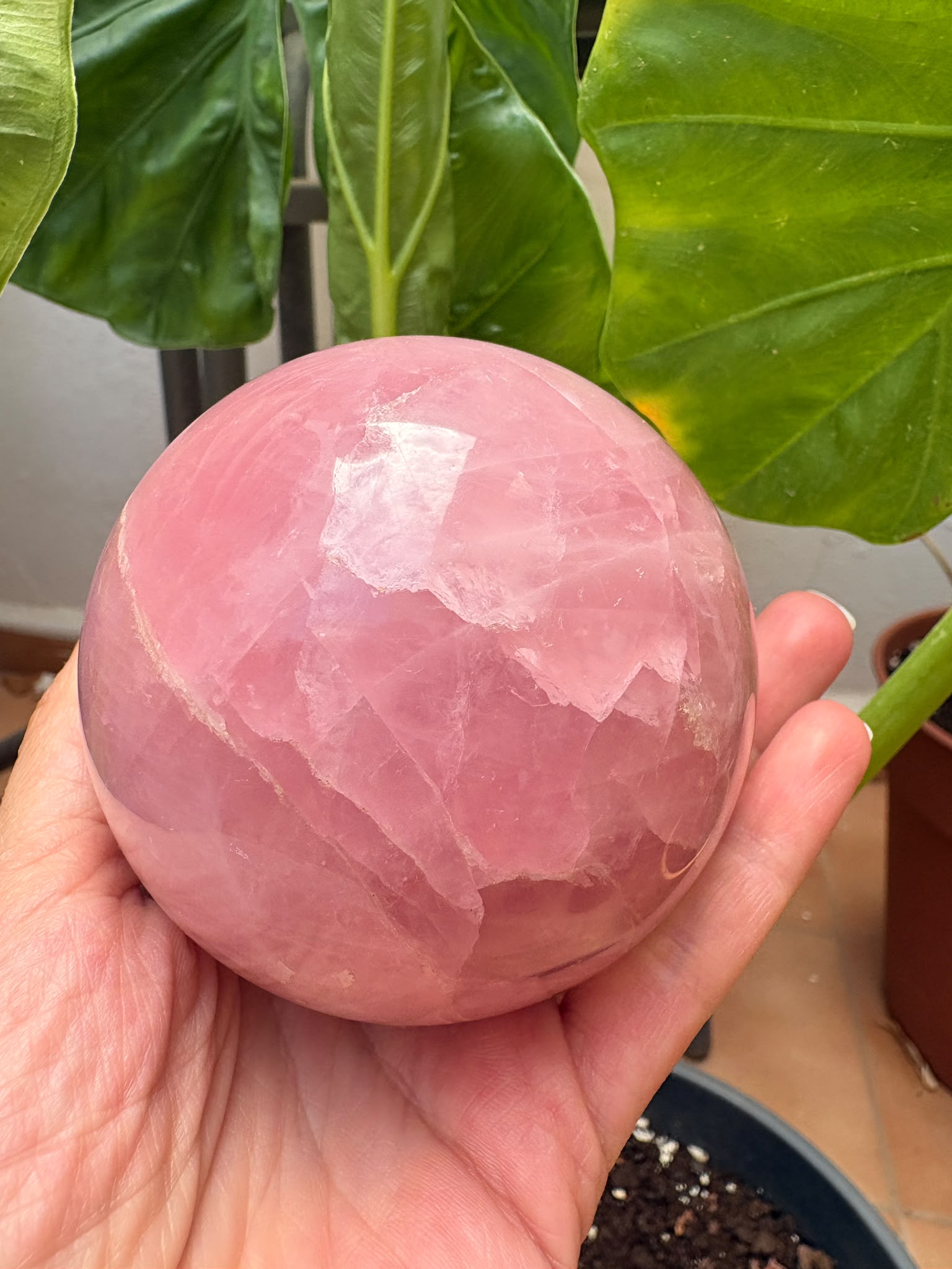 Esfera de cuarzo rosa natural de excelente calidad y precioso color, con 7 cm de diámetro. Una pieza única, ideal para decoración, meditación, coleccionismo o como regalo especial. Descúbrela en La Hada de las Piedras.