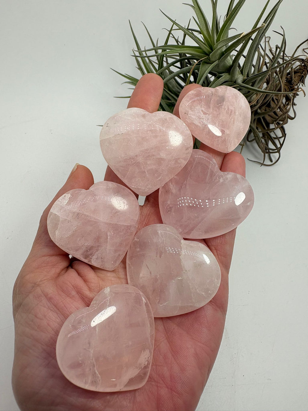 Corazón de Cuarzo Rosa Natural Pulido Pequeño Piedra del Amor Incondicional Cristal para Regalo Espiritual Decoración y Meditación Mineral Natural