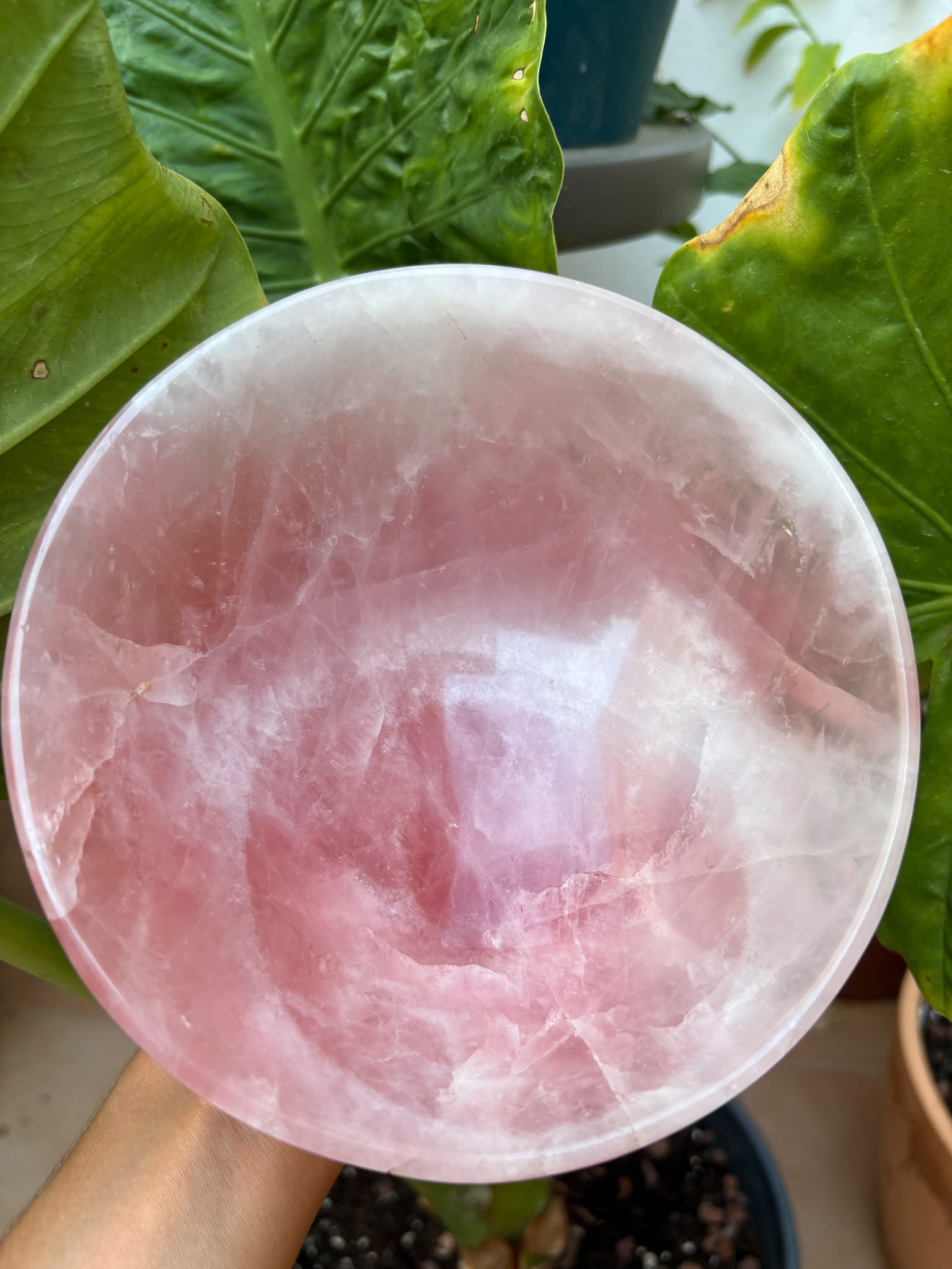 Cuenco de cuarzo rosa natural pulido de 16 cm y 1,040 kg. Pieza única, ideal para decoración, joyas, minerales o como elegante centro de mesa.