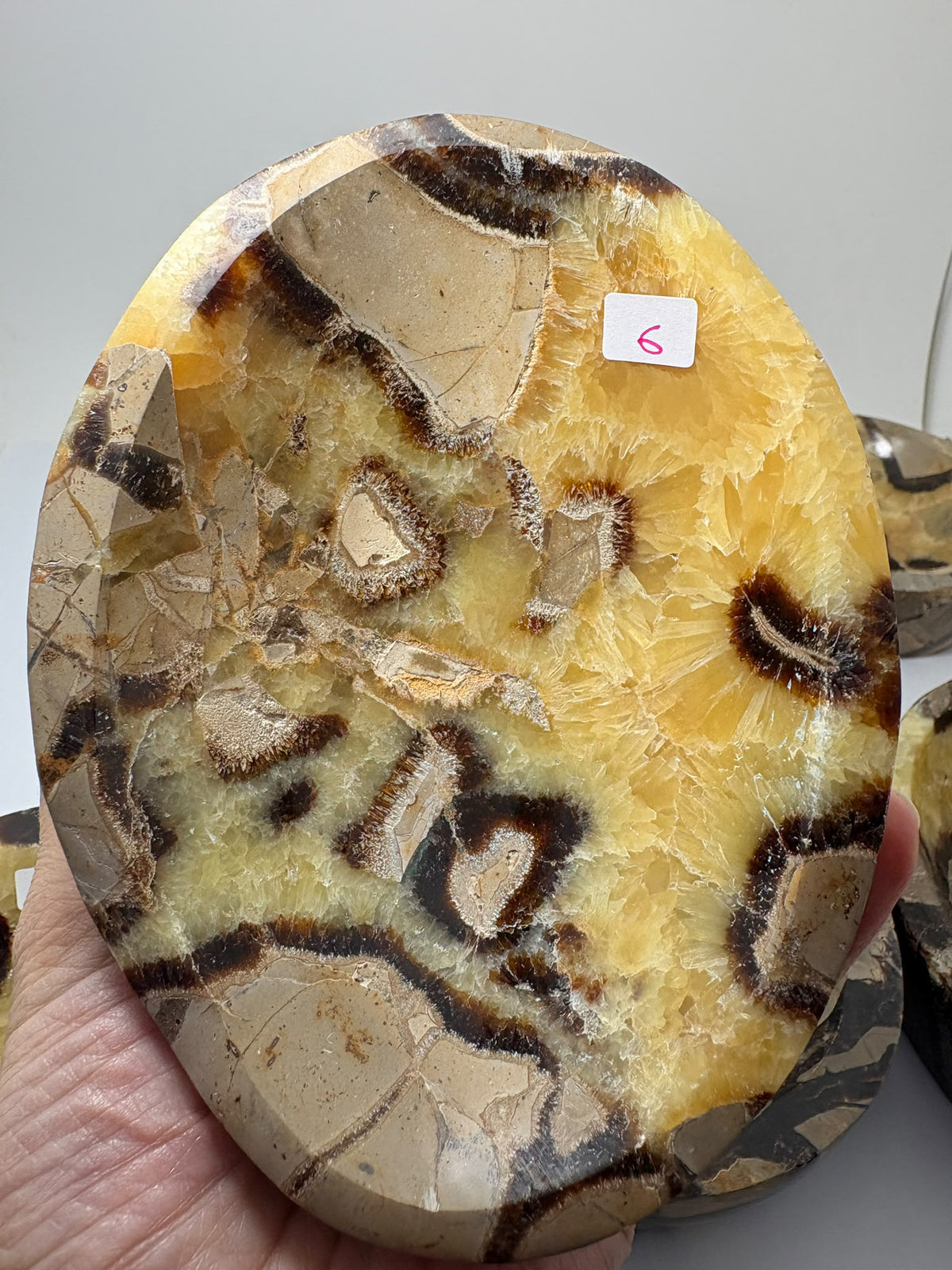 Cuencos de septaria natural pulida con vetas únicas en tonos amarillos, marrones y grises. Elige tu favorito y recibe la pieza de la fotografía.