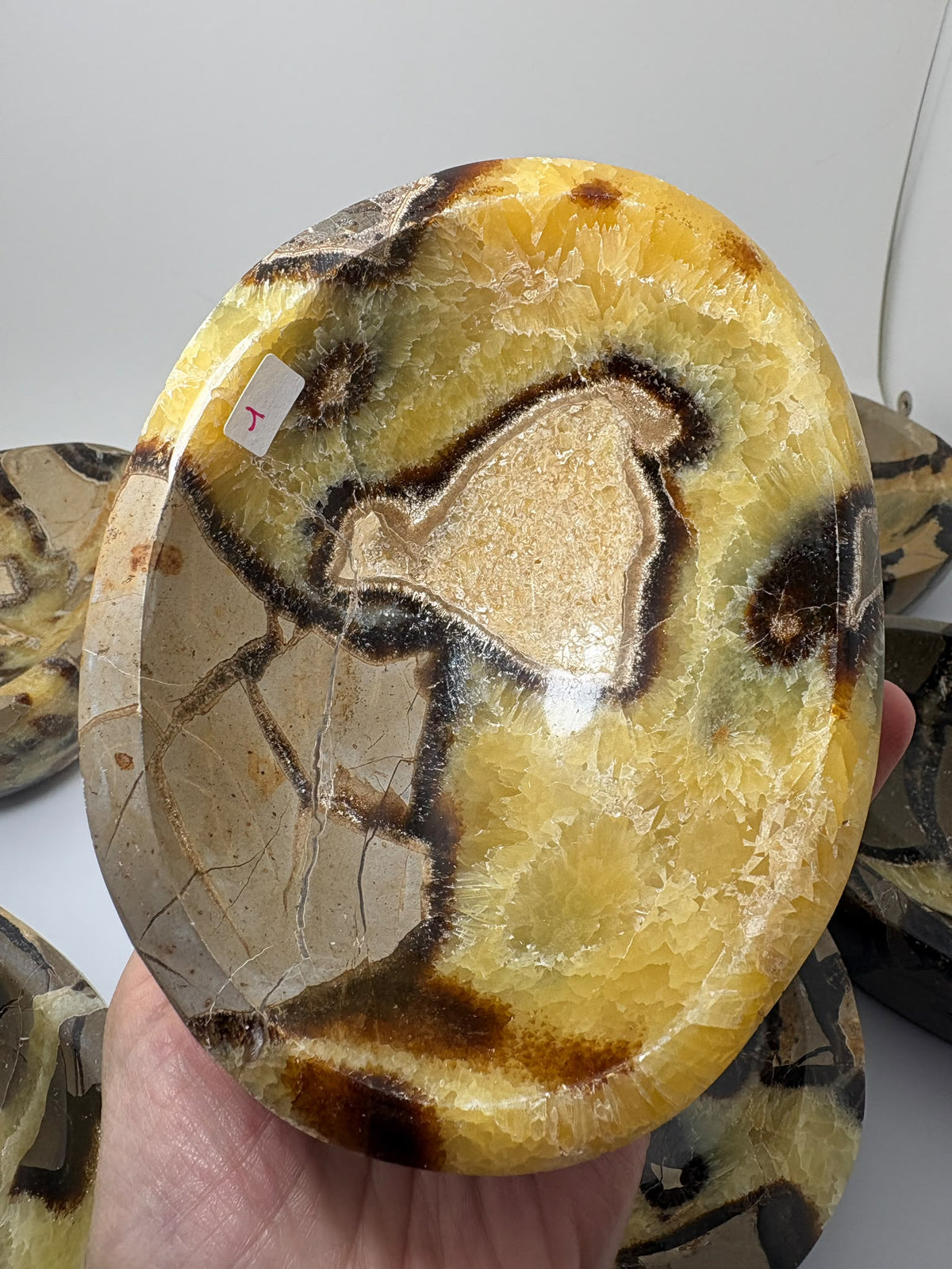 Cuencos de septaria natural pulida con vetas únicas en tonos amarillos, marrones y grises. Elige tu favorito y recibe la pieza de la fotografía.