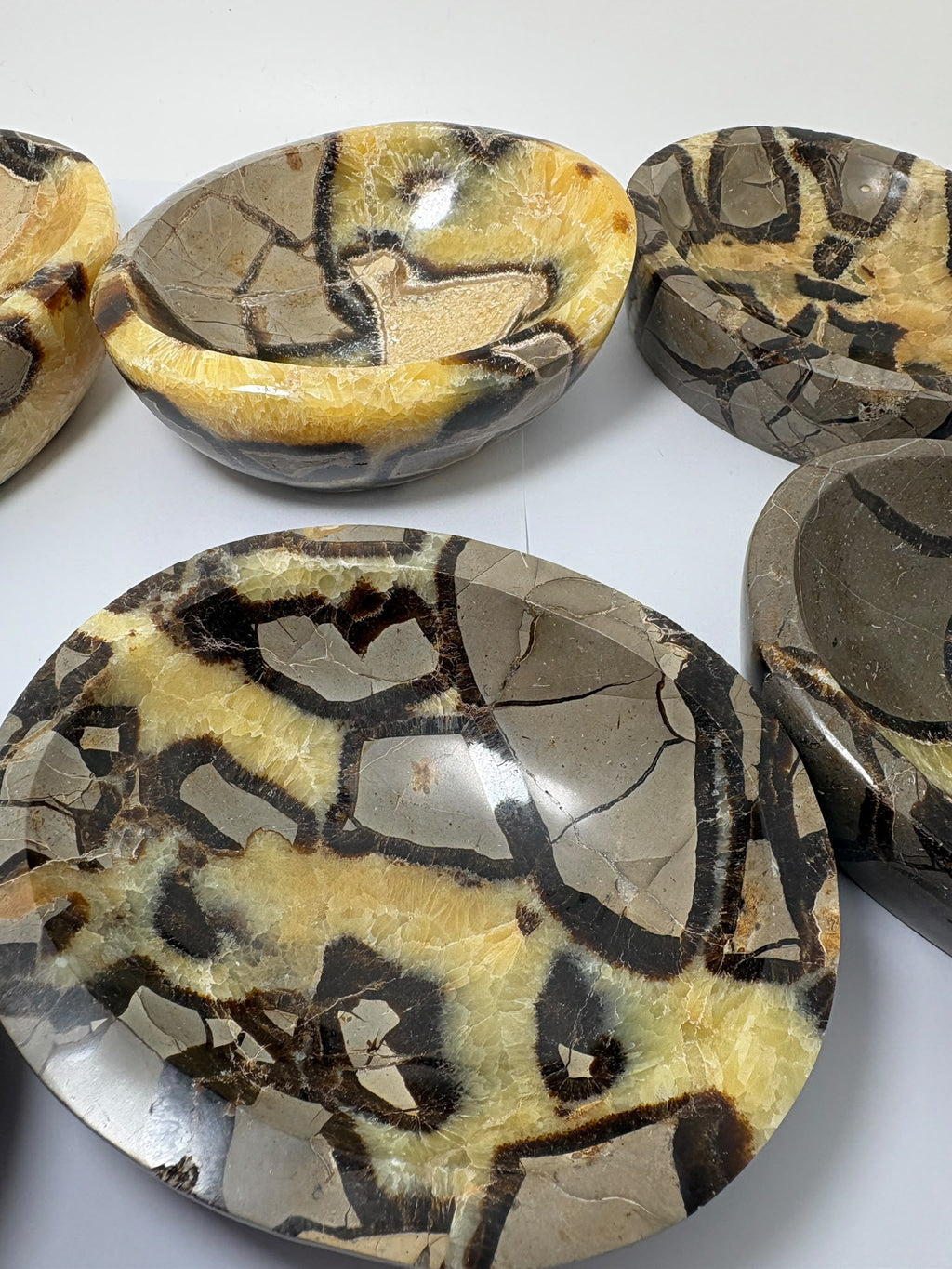 Cuencos de septaria natural pulida con vetas únicas en tonos amarillos, marrones y grises. Elige tu favorito y recibe la pieza de la fotografía.