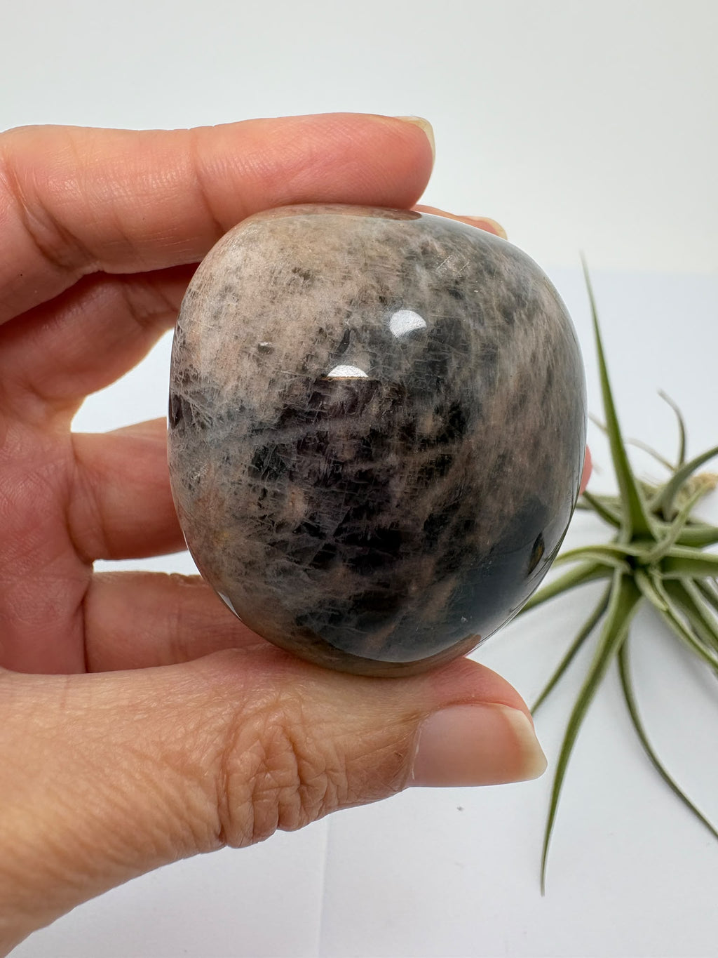 Palmstone de adularia negra de Madagascar - foto 7