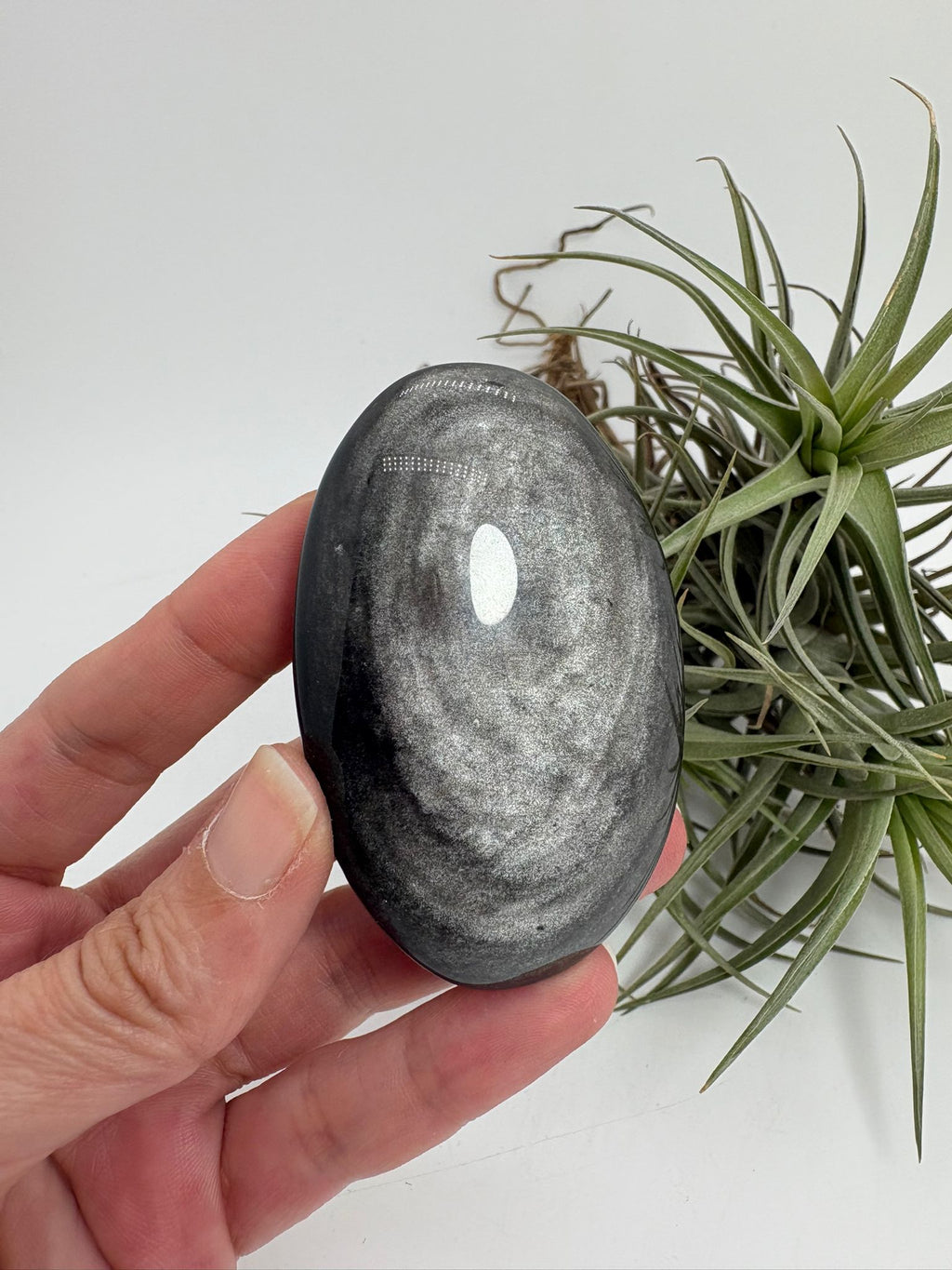 Palmstone obsidiana plateada