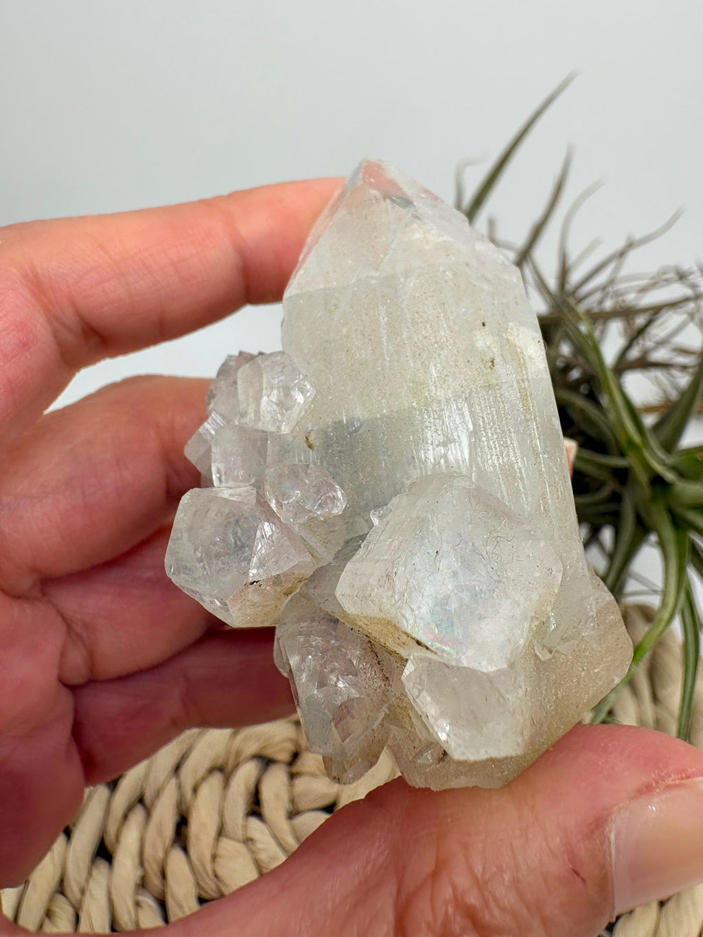 Apofilita natural de la India