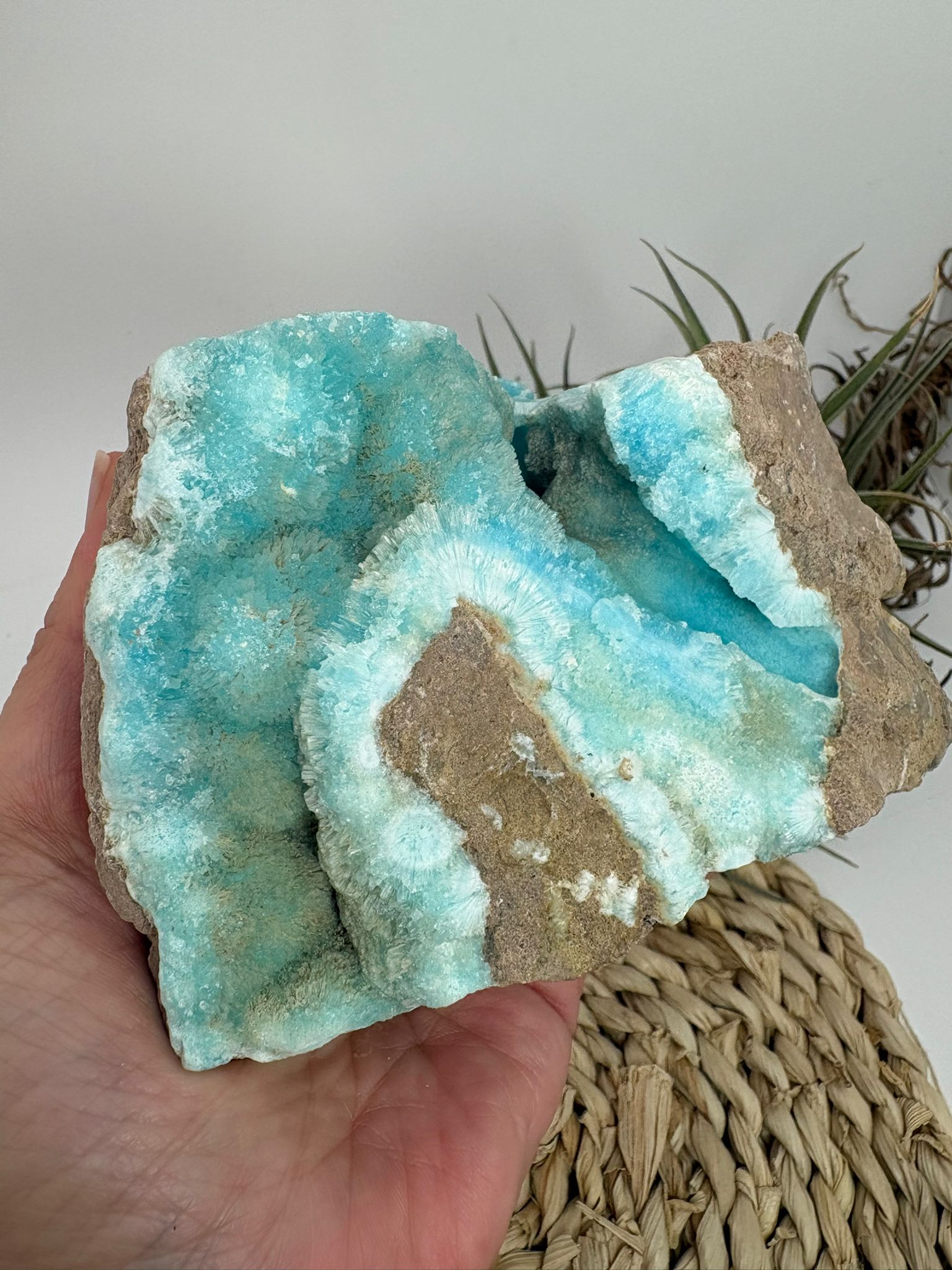 Aragonito azul de Pakistan, mineral de colección