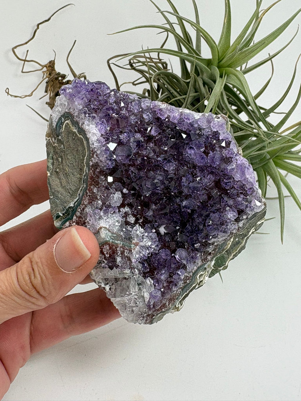 Drusa de amatista natural - cristales violetas brillantes