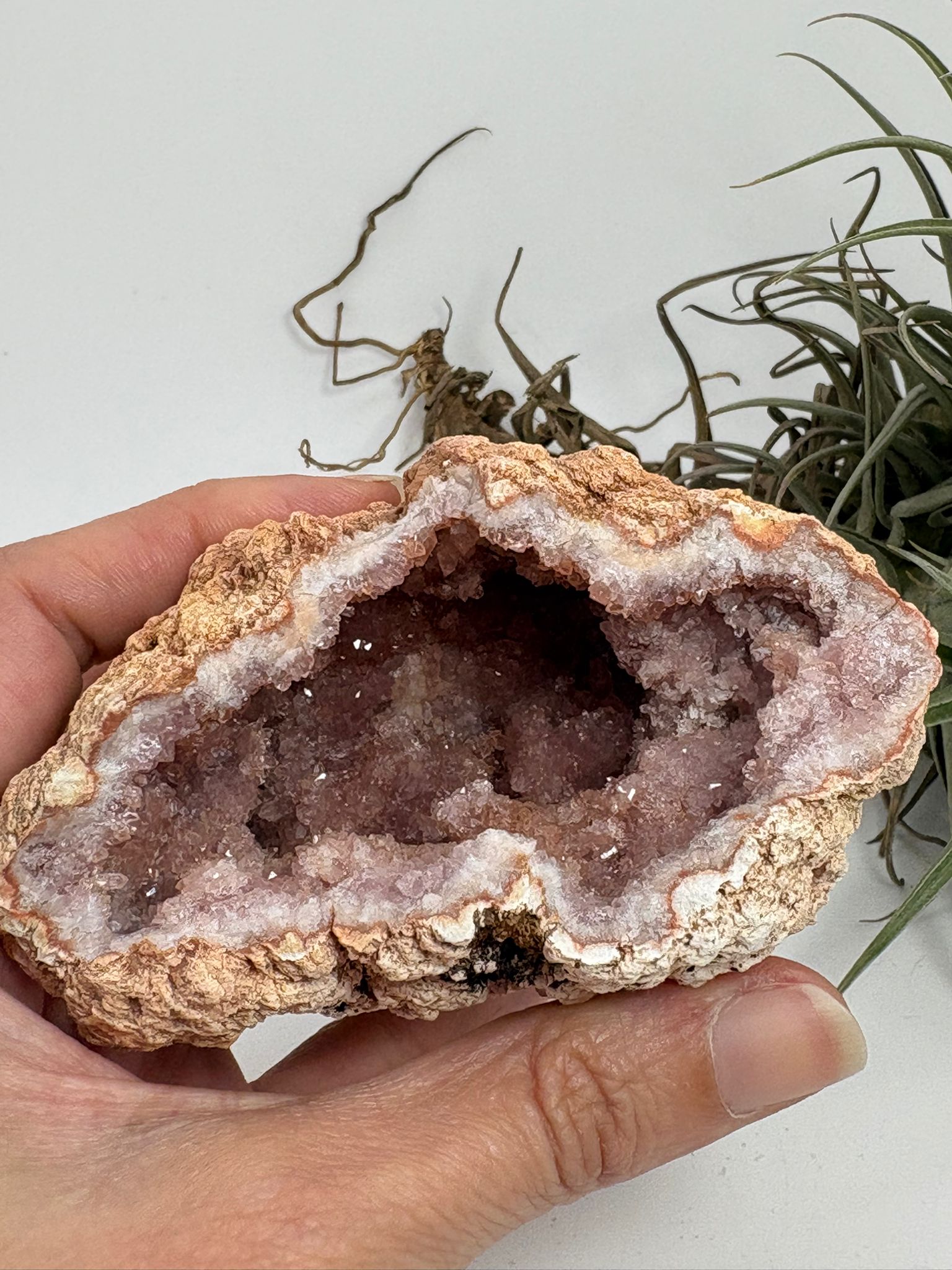 Geoda de amatista rosa de Argentina
