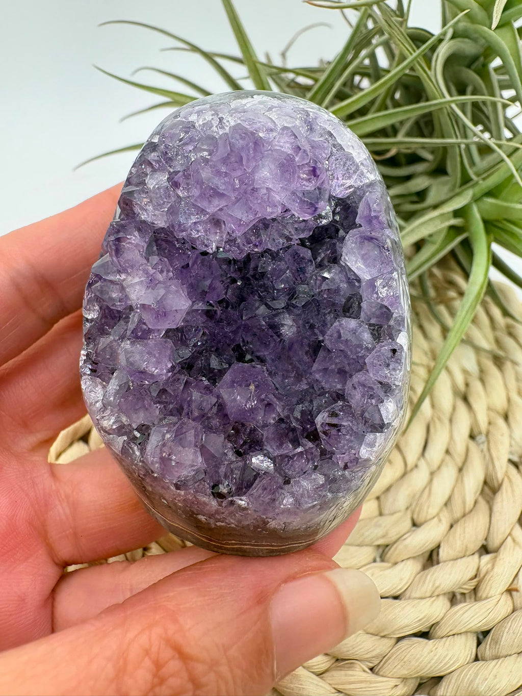 Drusa de amatista natural, mineral de color violeta muy apreciado en cristaloterapia por asociarse con la calma, la relajación y el equilibrio emocional.