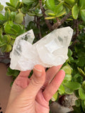 Esta hermosa drusa de Cuarzo Blanco natural con puntas muy bonitas,
(también conocido como Cristal de Roca) 
mide aproximadamente 9,2  por 7 cm
