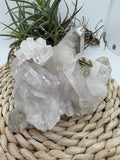 Cuarzo natural en bruto, pieza única con energía pura. Ideal para meditación, decoración y equilibrio energético. Descubre su belleza natural.