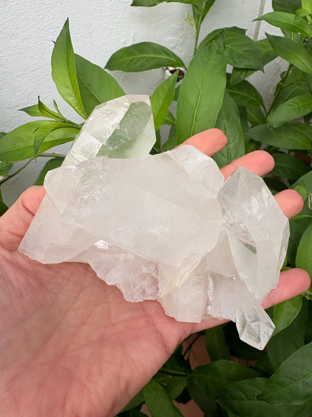 natural con puntas muy bonitas,
(también conocido como Cristal de Roca) 
mide aproximadamente 9,2  por 7 cm
