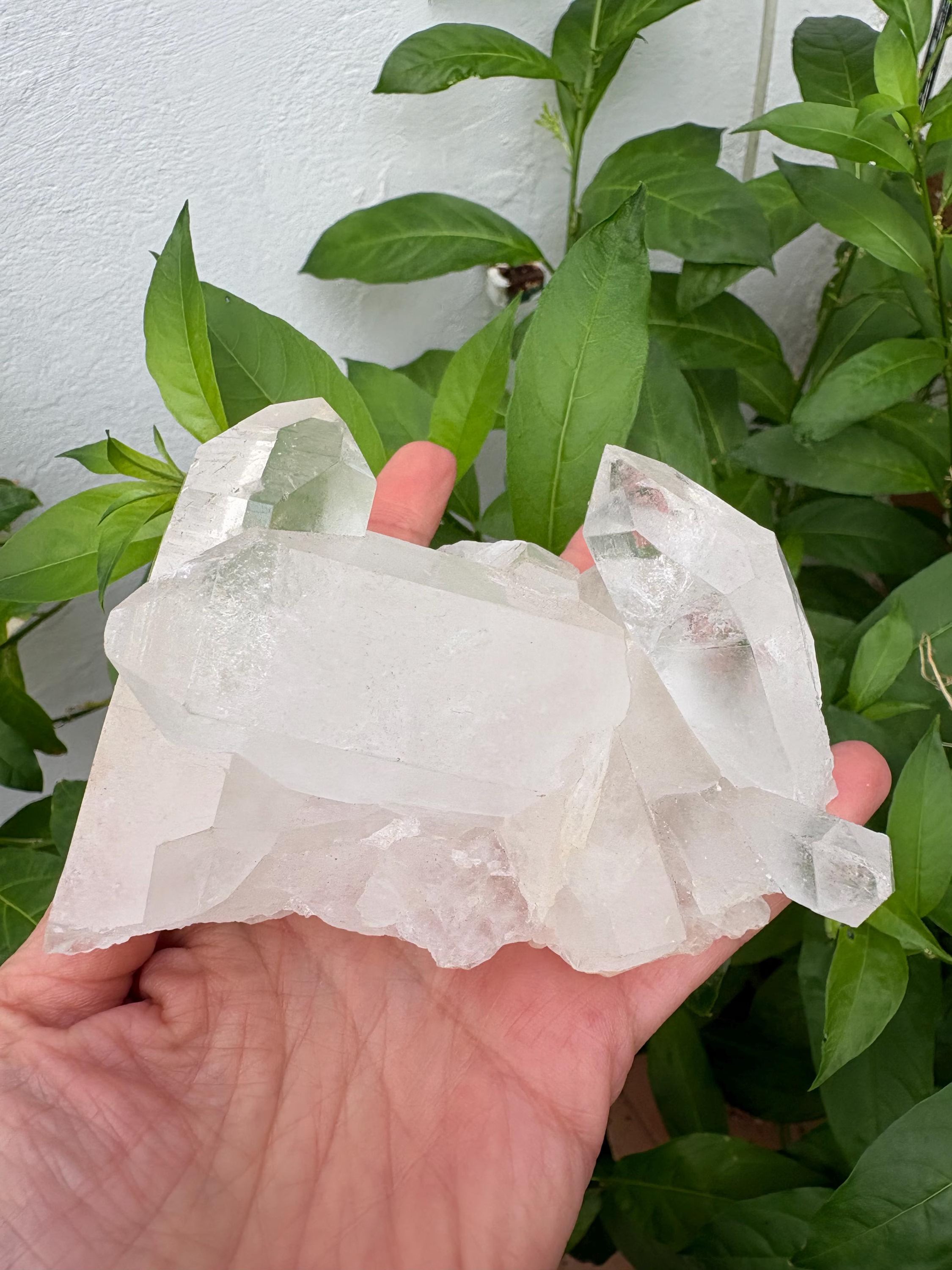natural con puntas muy bonitas,
(también conocido como Cristal de Roca) 
mide aproximadamente 9,2  por 7 cm
