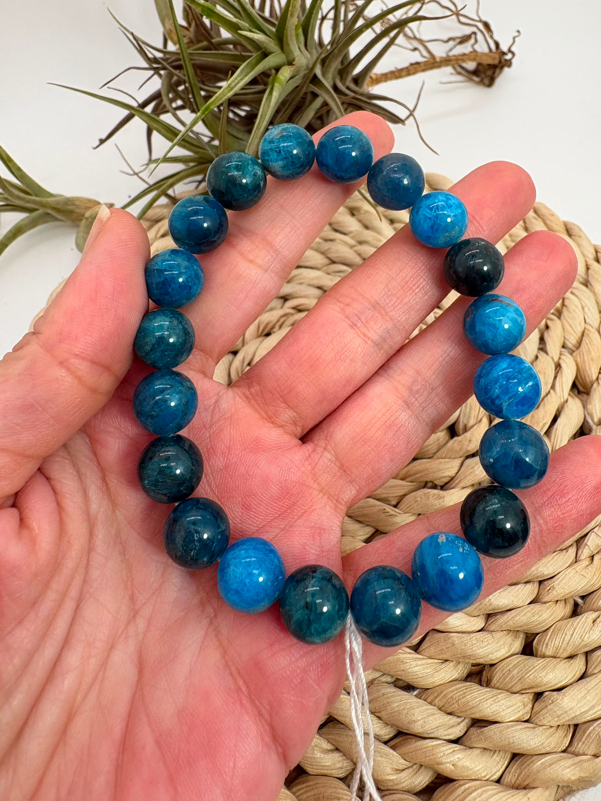 Pulsera de apaptito azul