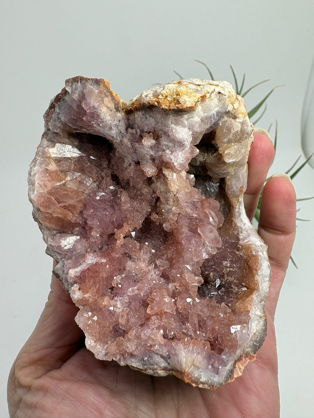 Geoda de amatista rosa de Argentina