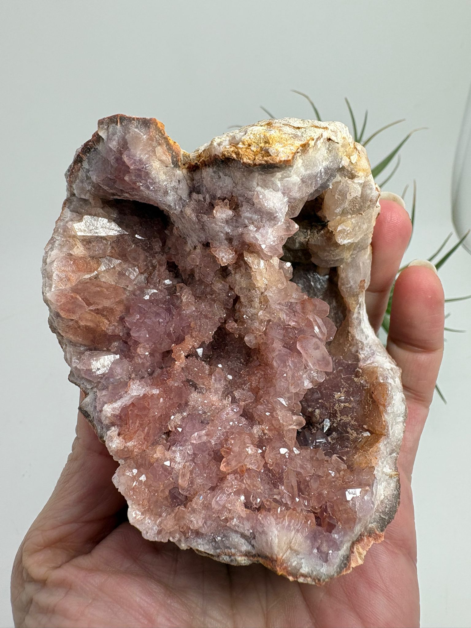 Geoda de amatista rosa de Argentina